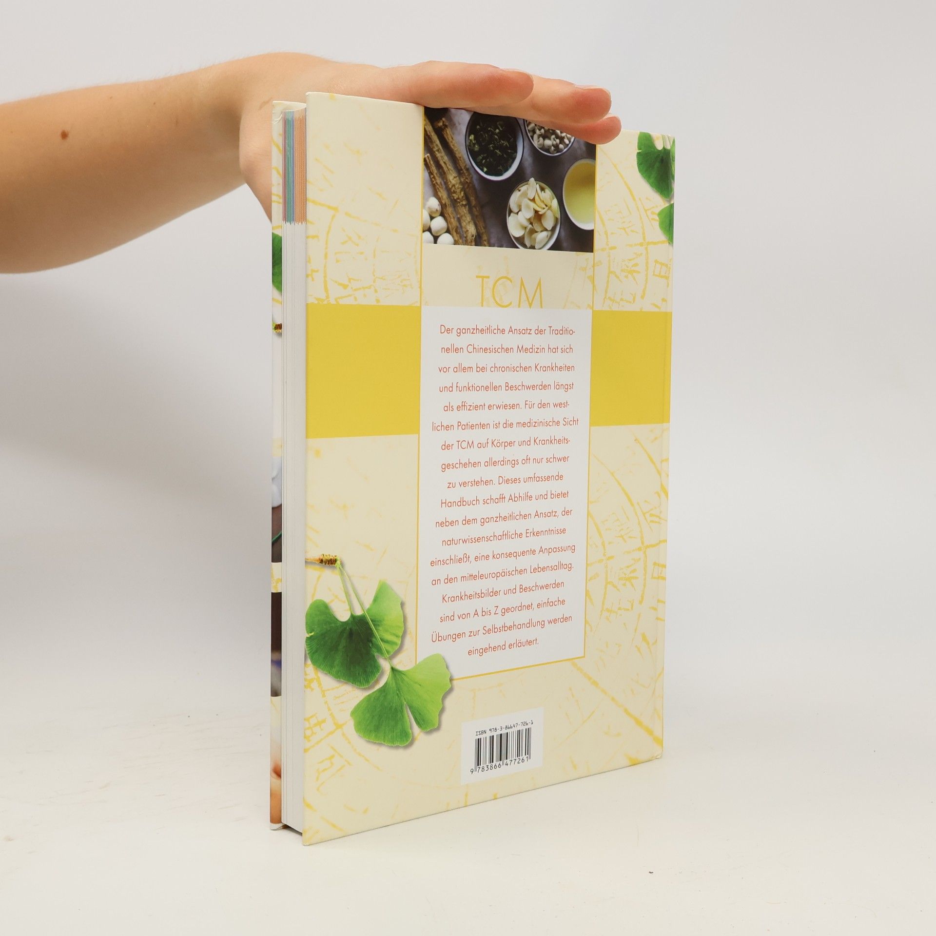 Hans-Ulrich Hecker Handbuch traditionelle chinesische Medizin
