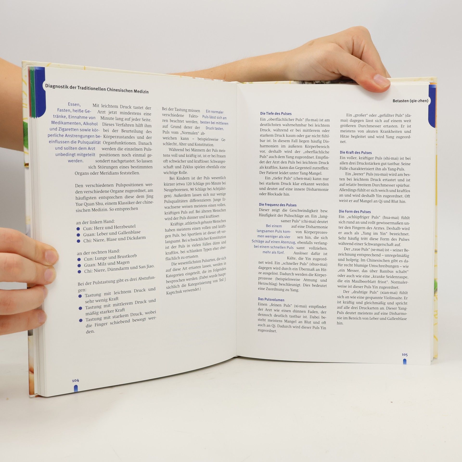 Hans-Ulrich Hecker Handbuch traditionelle chinesische Medizin