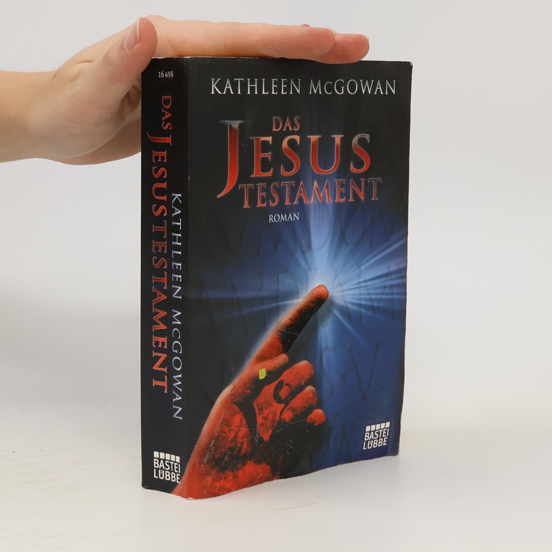 Kathleen McGowan Das Jesus-Testament