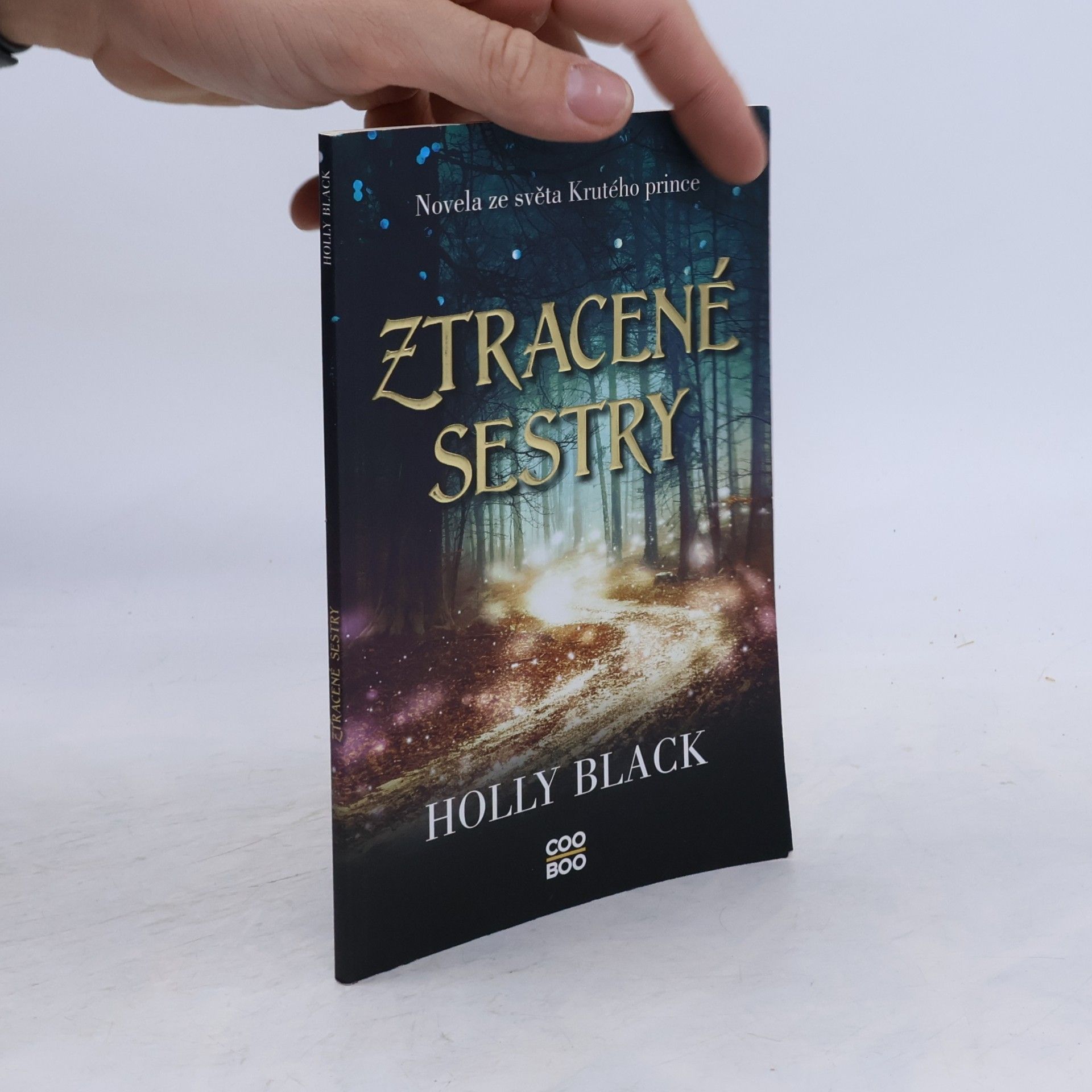 Holly Black Ztracené sestry