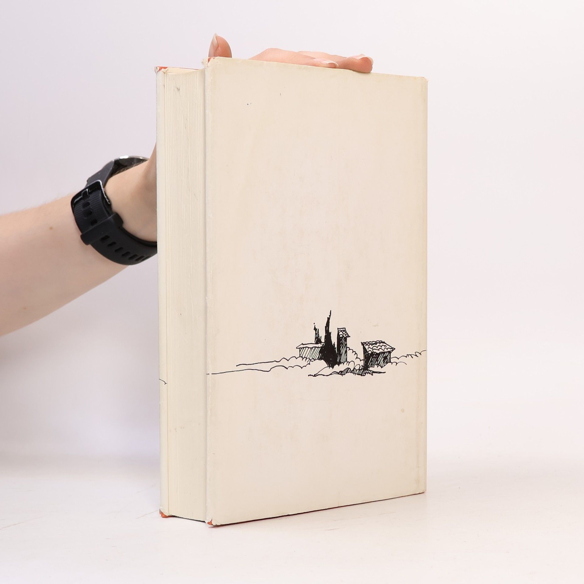Marcel Pagnol Eine Kindheit in der Provence