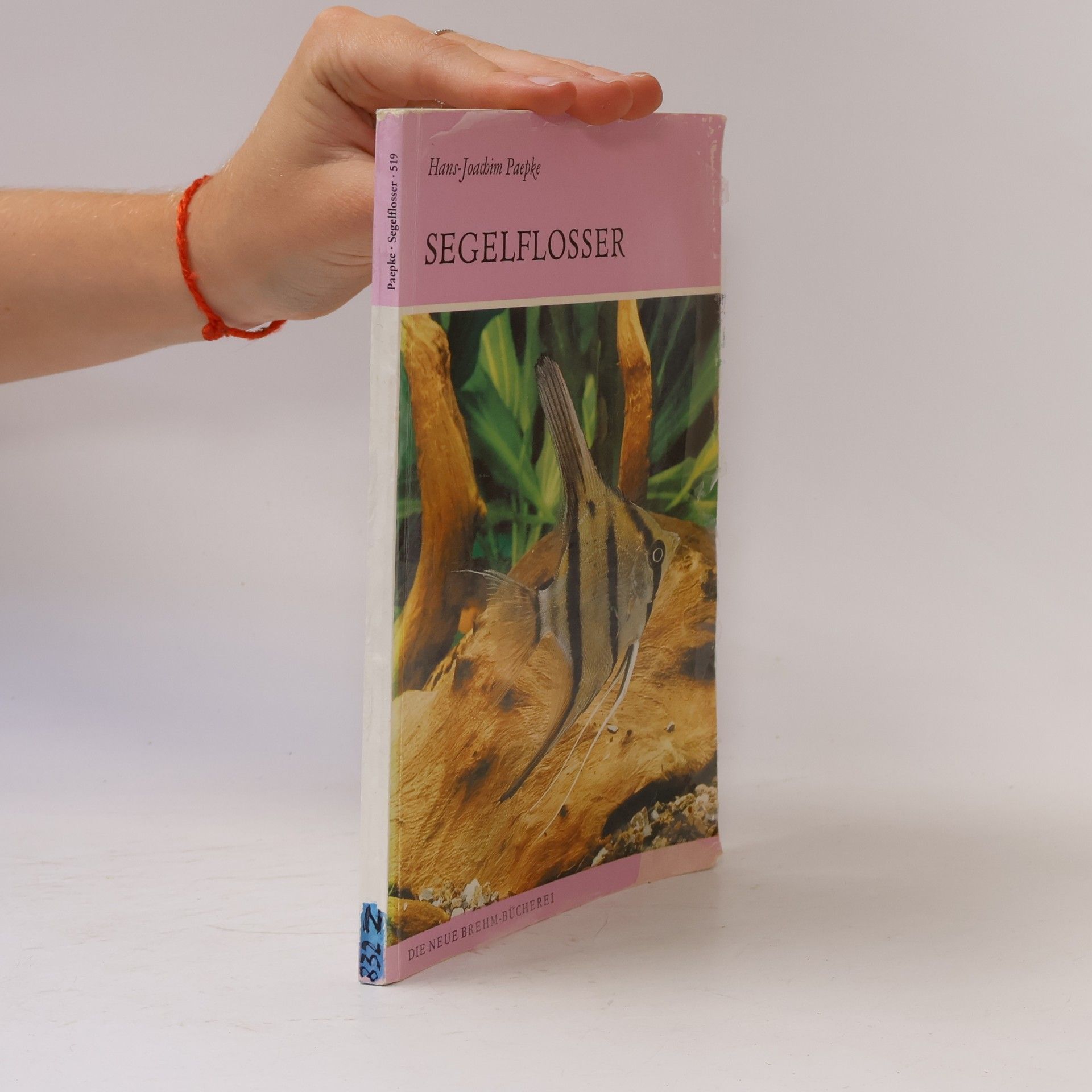 Hans Joachim Paepke Segelflosser