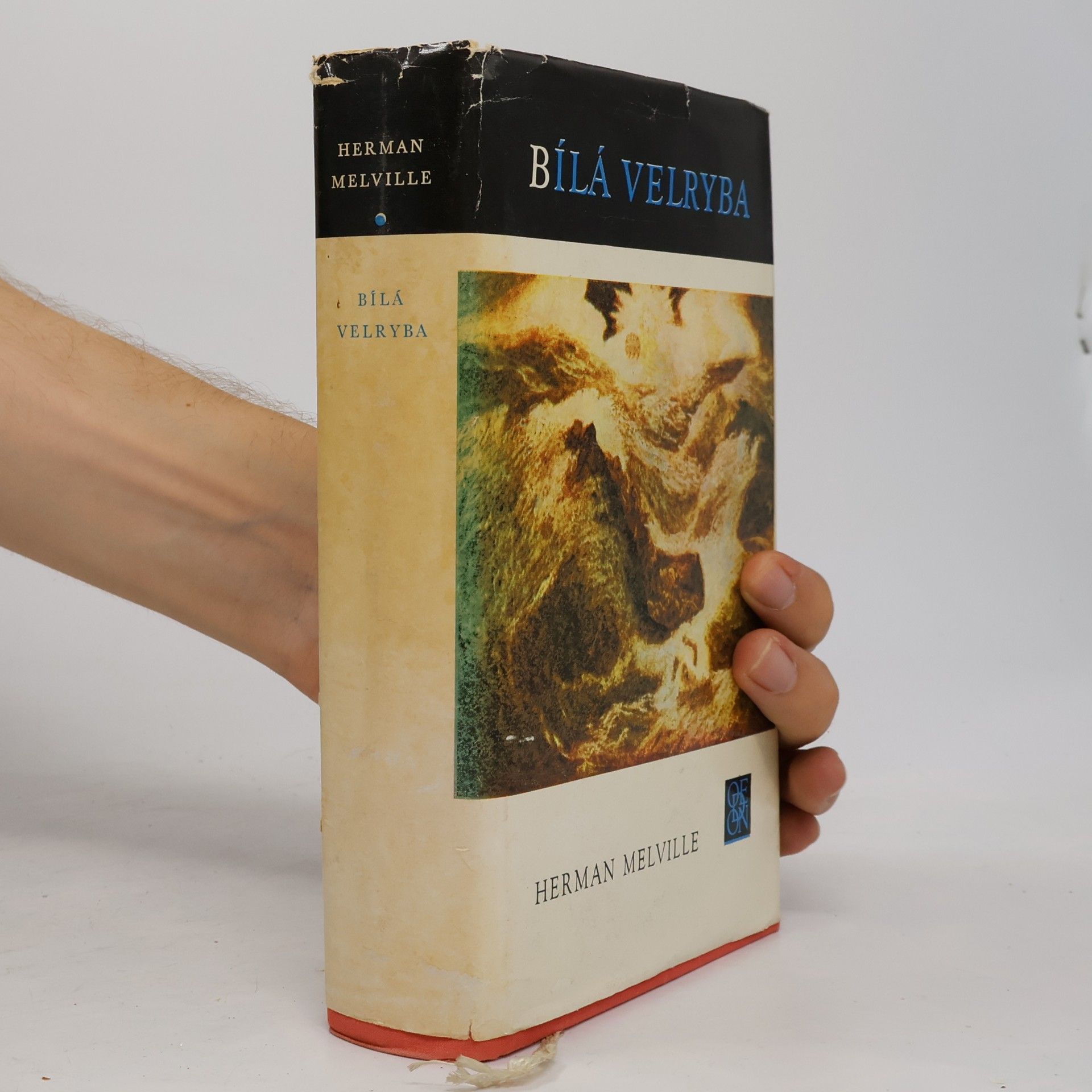 Herman Melville Bílá velryba