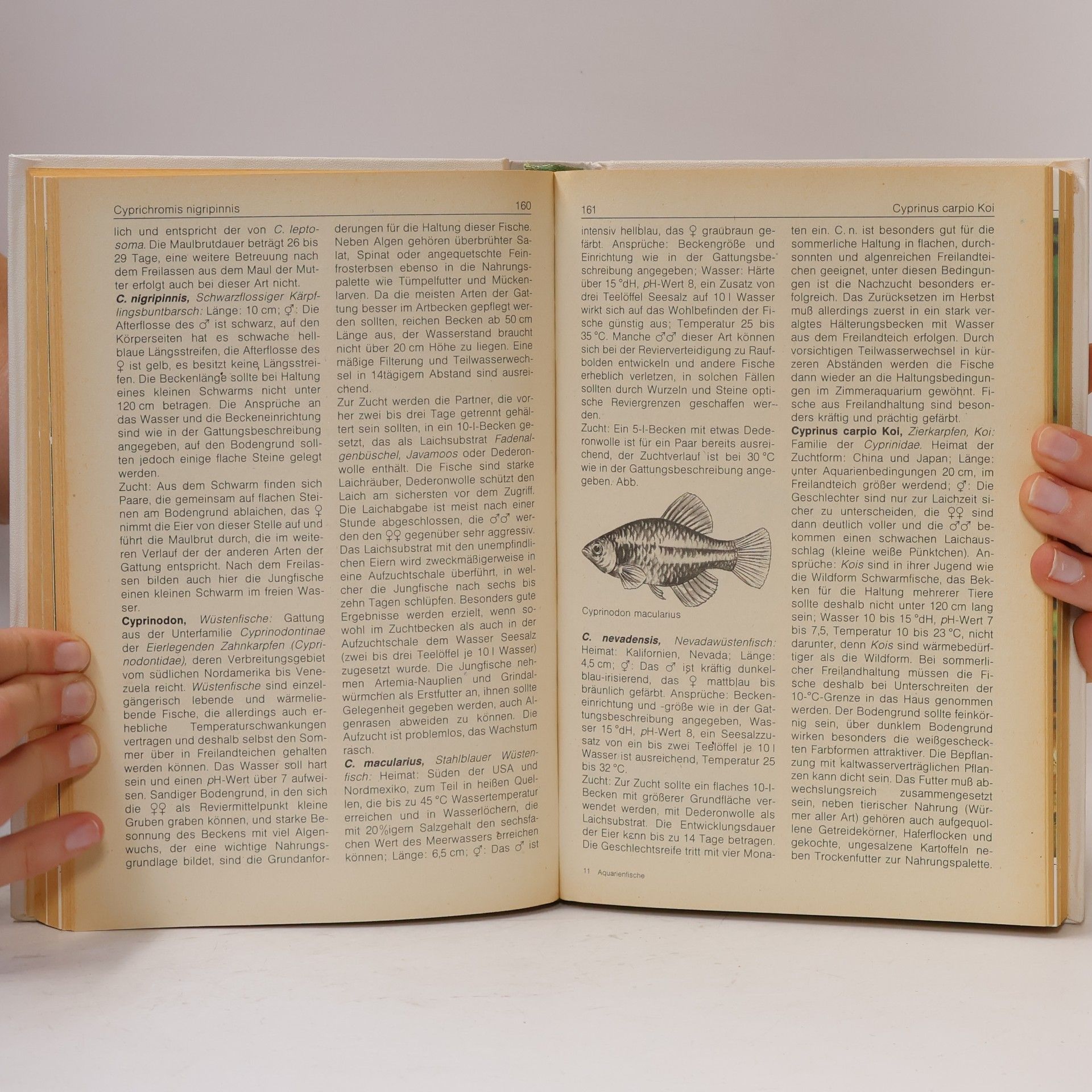 Rolf Meyer BI-Lexikon Aquarienfische