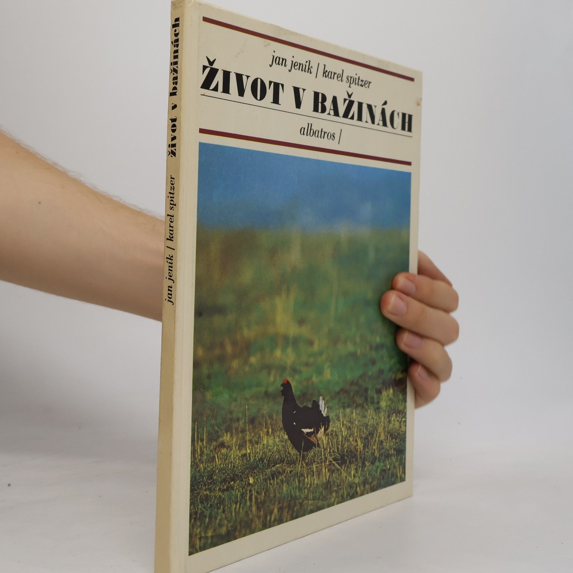 P. Melan Život v bažinách