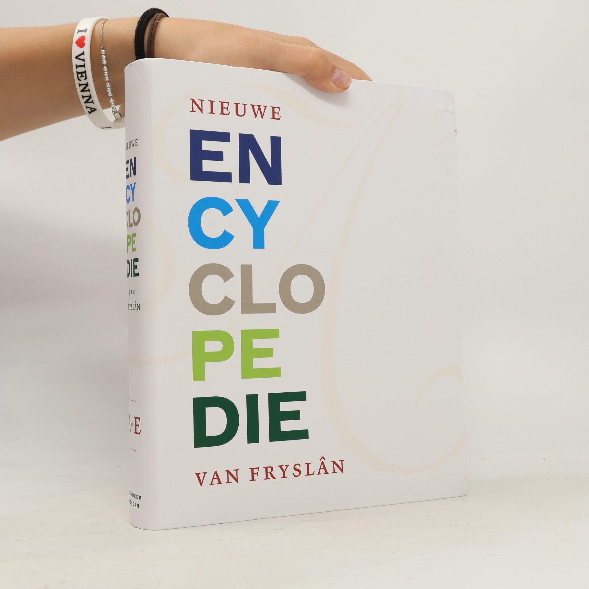 AA.VV. Nieuwe encyclopedie van Fryslân