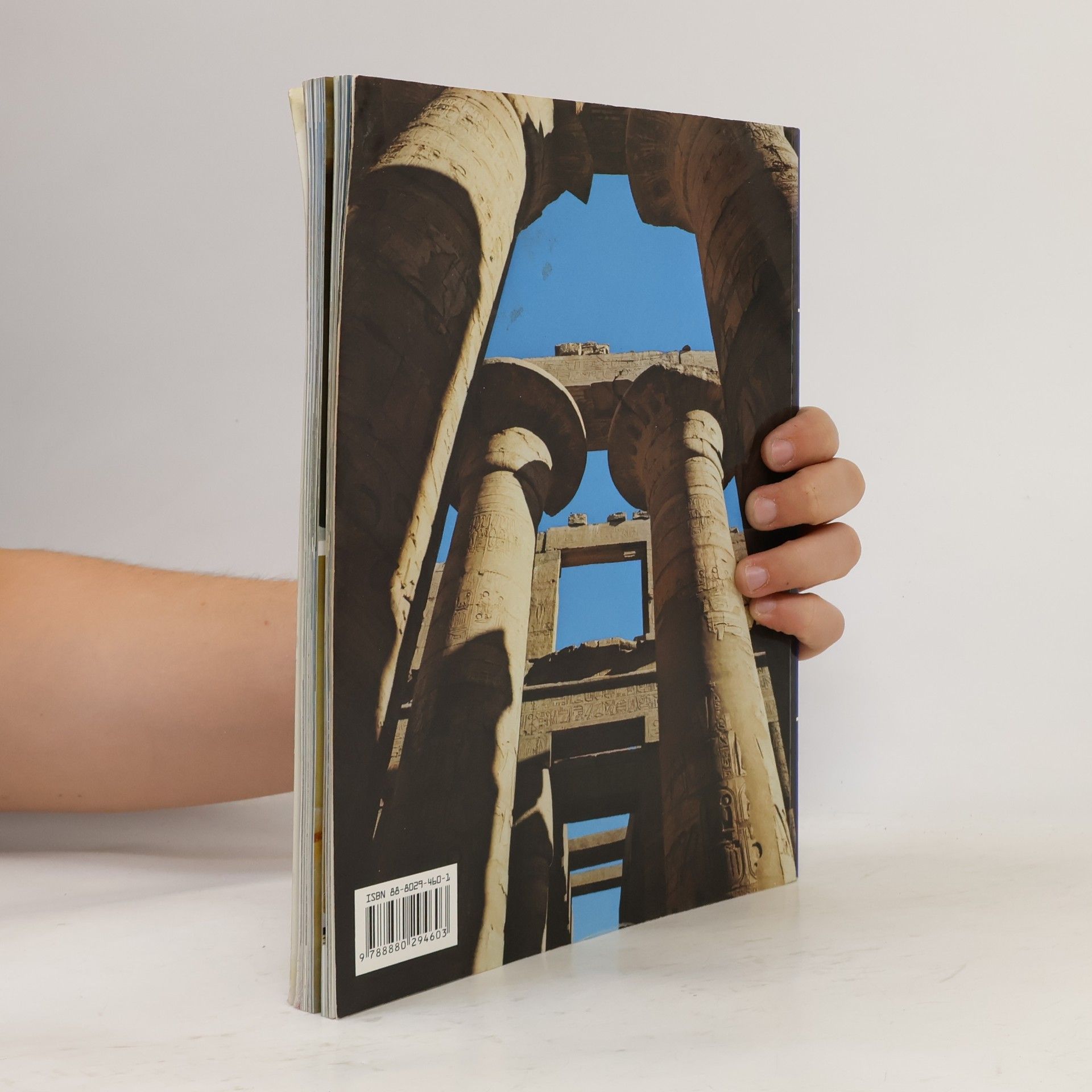 Abbas Chalaby Napříč Egyptem. Od Káhiry po Abu Simbel a Sinaj