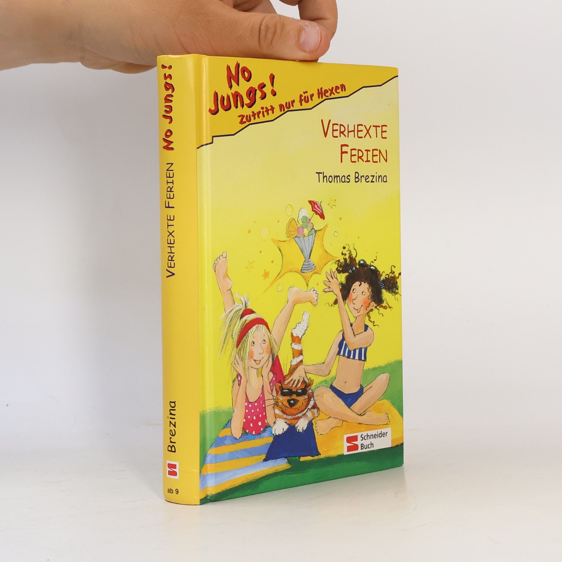 Thomas Brezina No Jungs! Verhexte Ferien