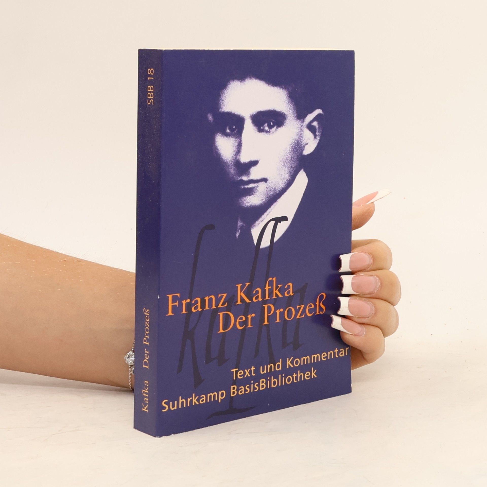 Franz Kafka Der Prozeß. Text und Kommentar