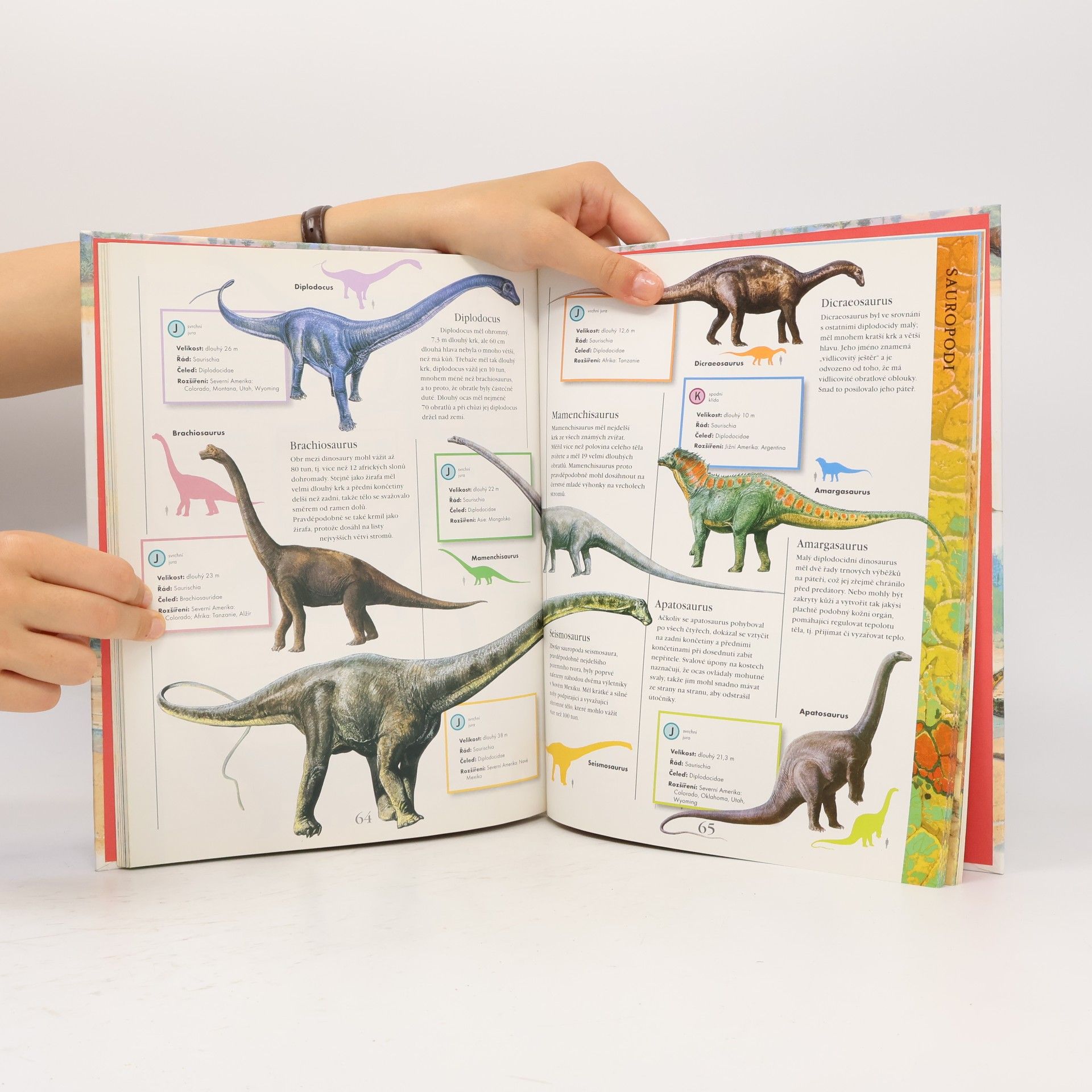 Jinny Johnson Dinosauři