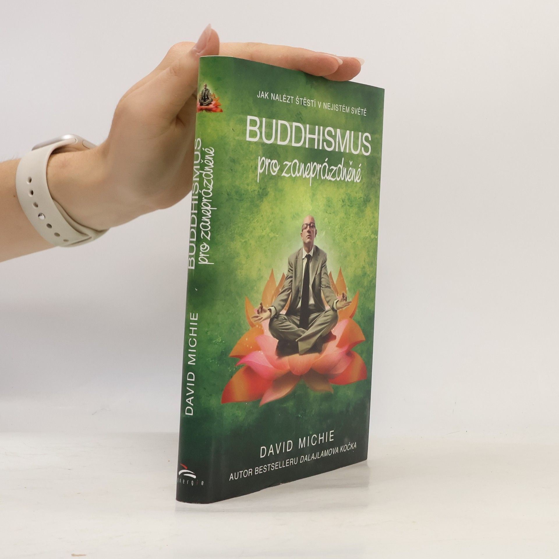 David Michie Buddhismus pro zaneprázdněné