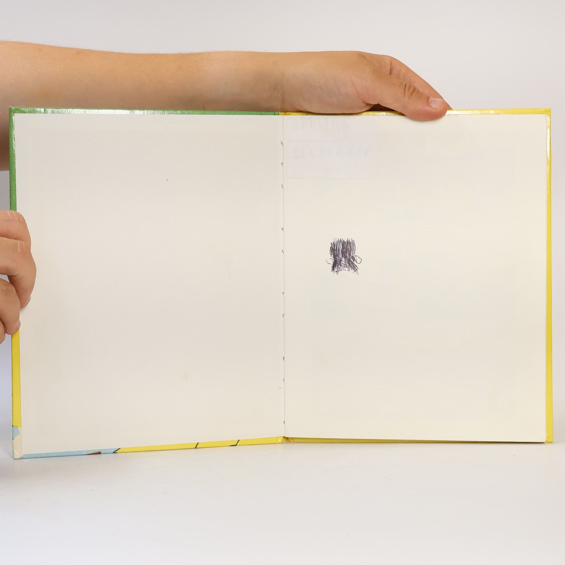 Astrid Lindgren Pippi regelt alles. Comic Strip