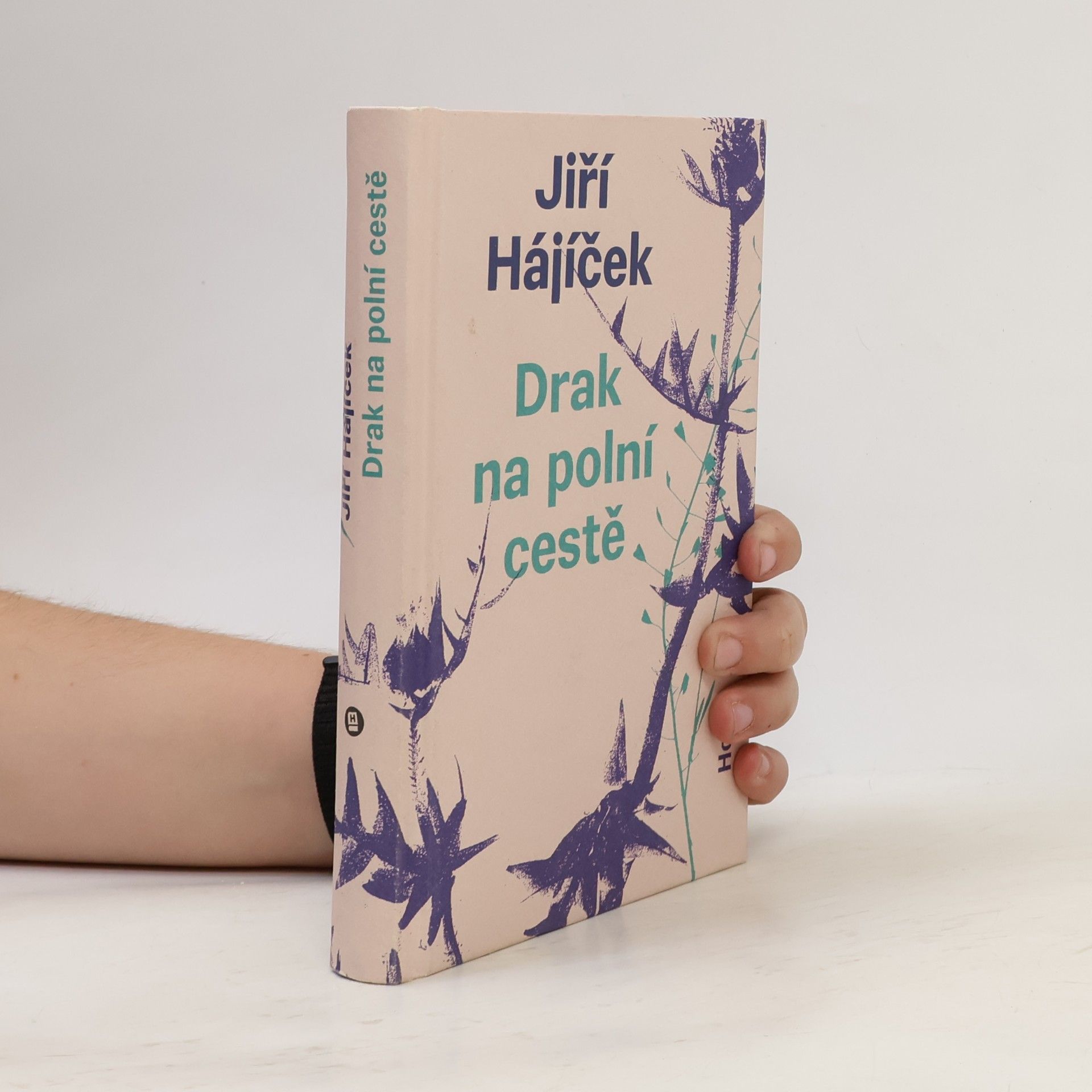 Jiří Hájíček Drak na polní cestě