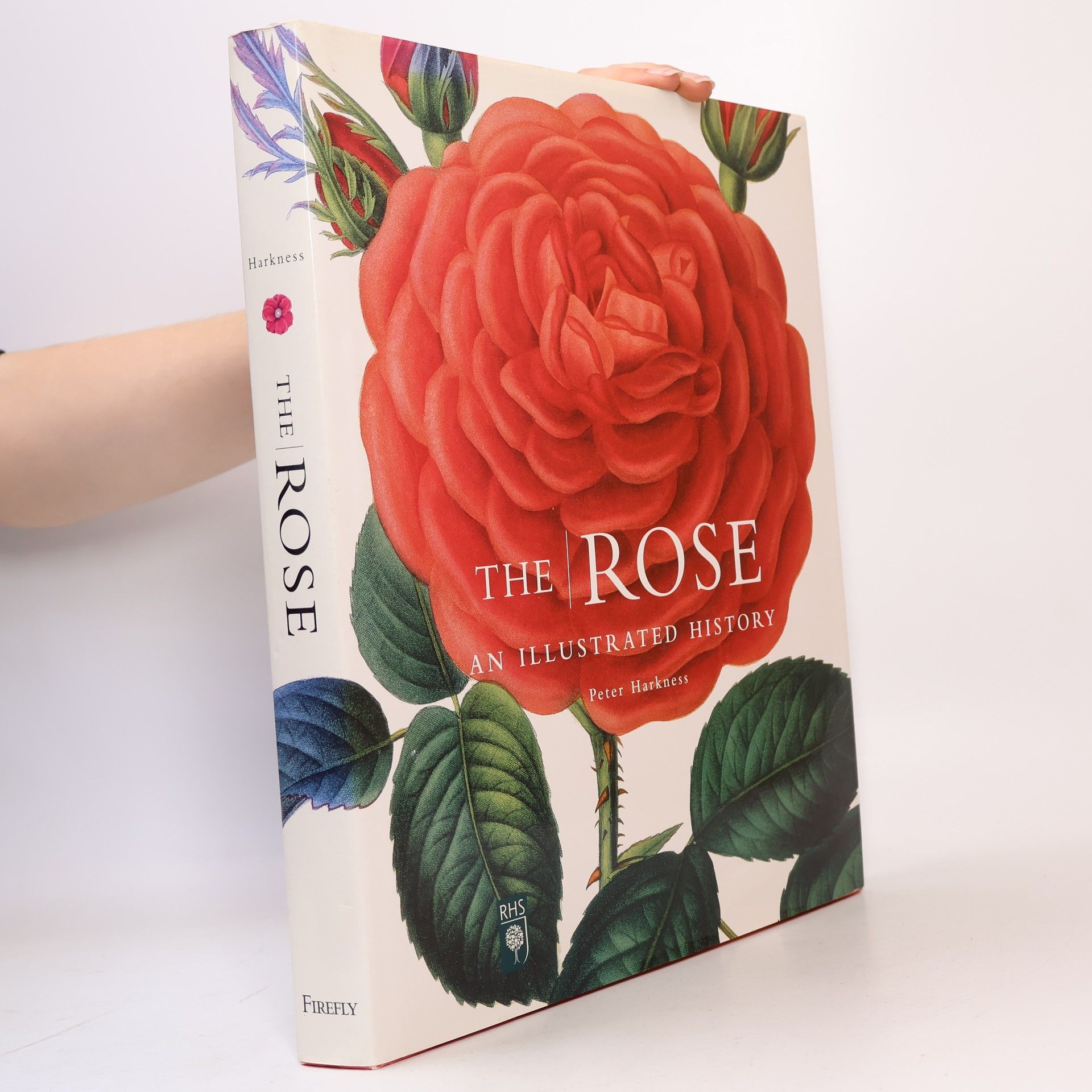Peter Harkness The Rose