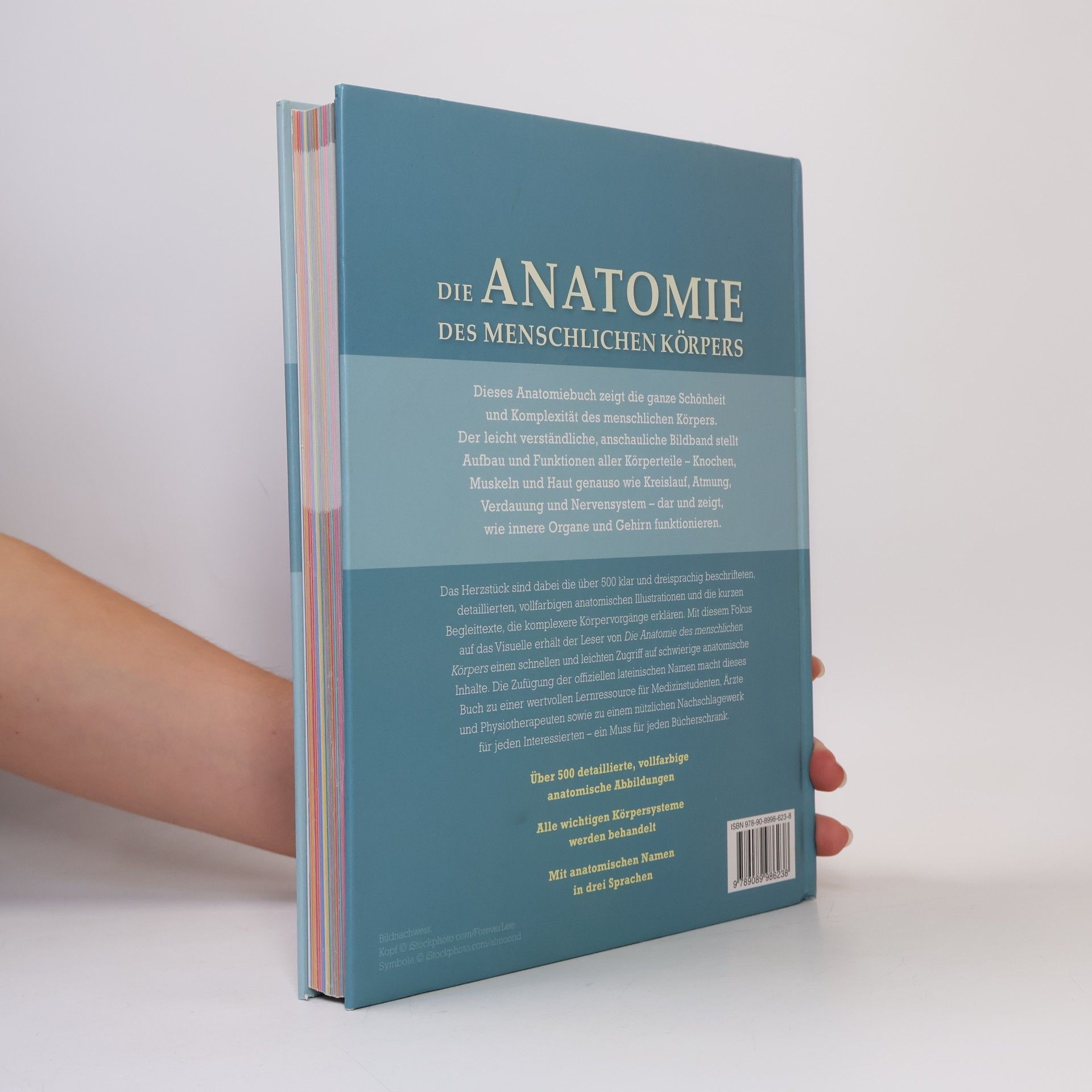 Ken Ashwell Die Anatomie des menschlichen Körpers