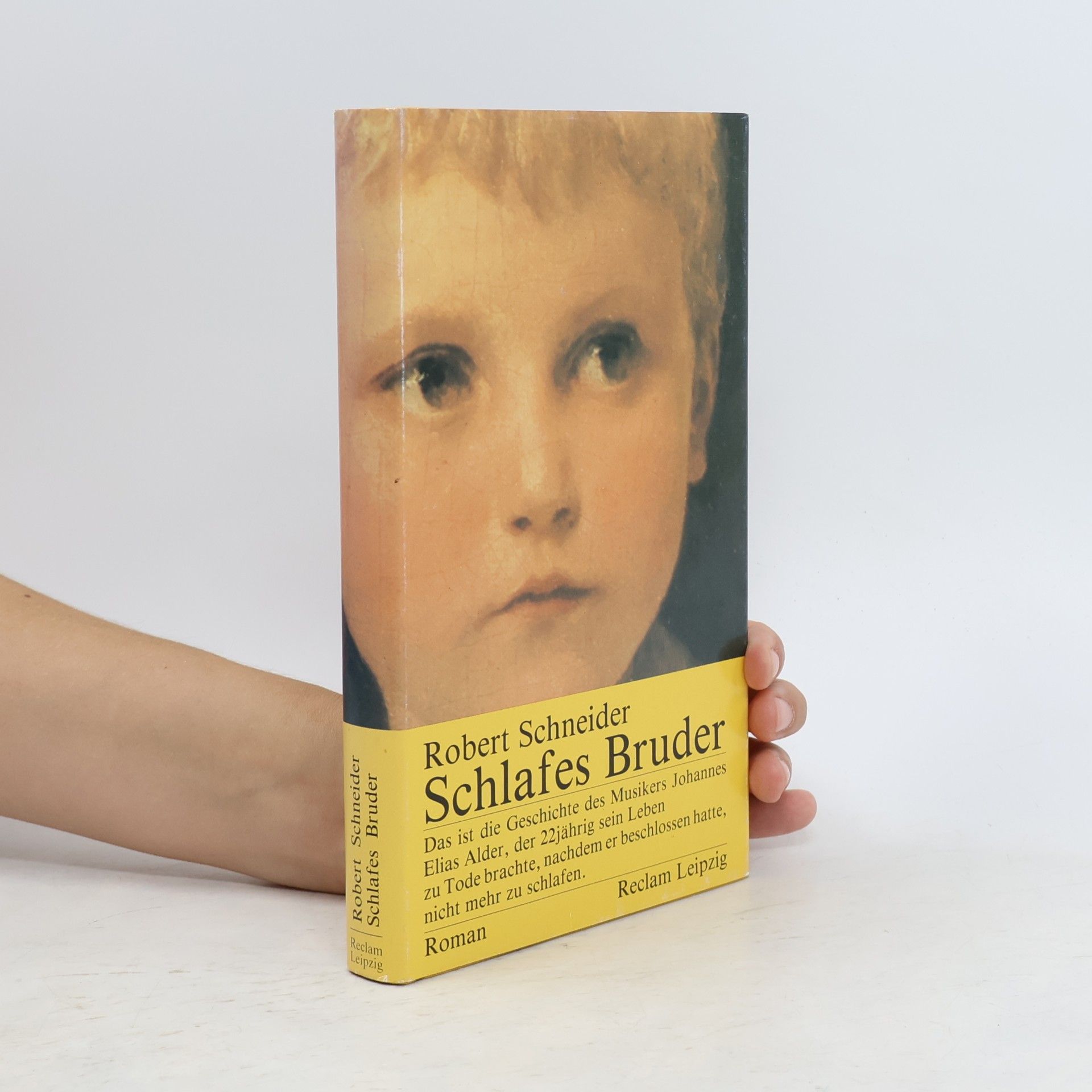 Robert Schneider Schlafes Bruder
