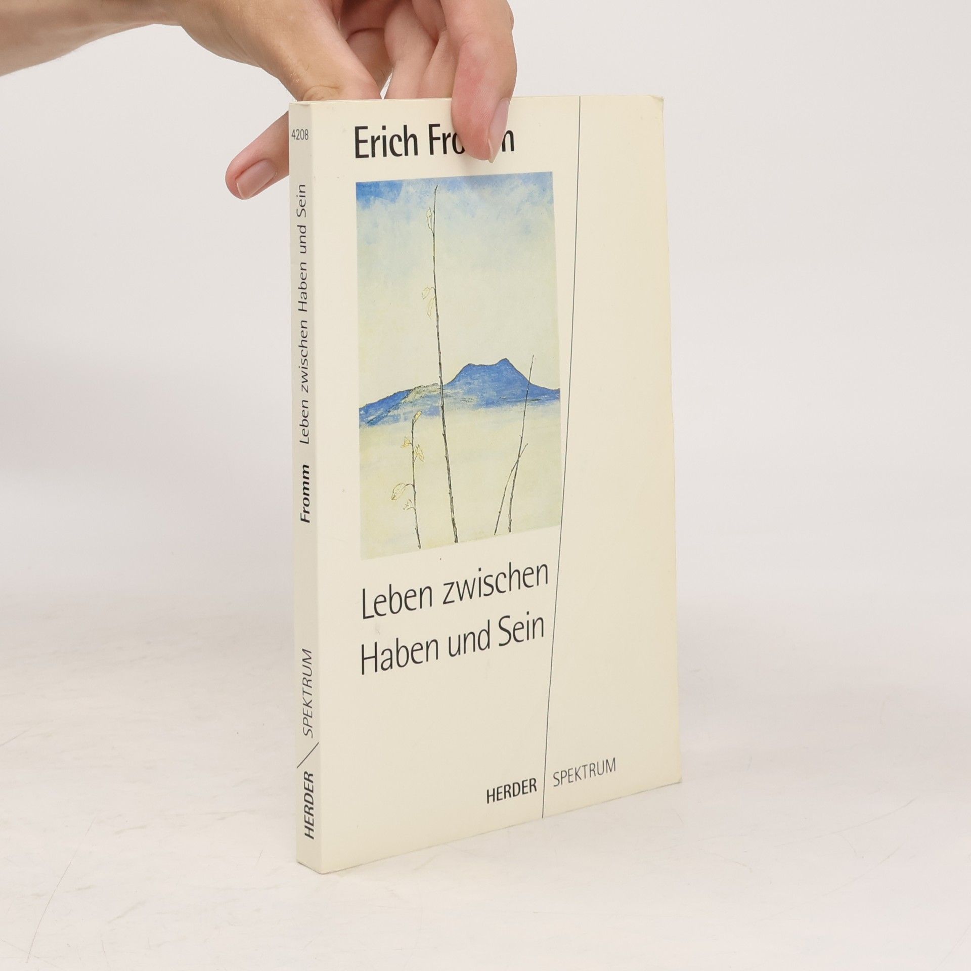 Erich Fromm Leben zwischen Haben und Sein