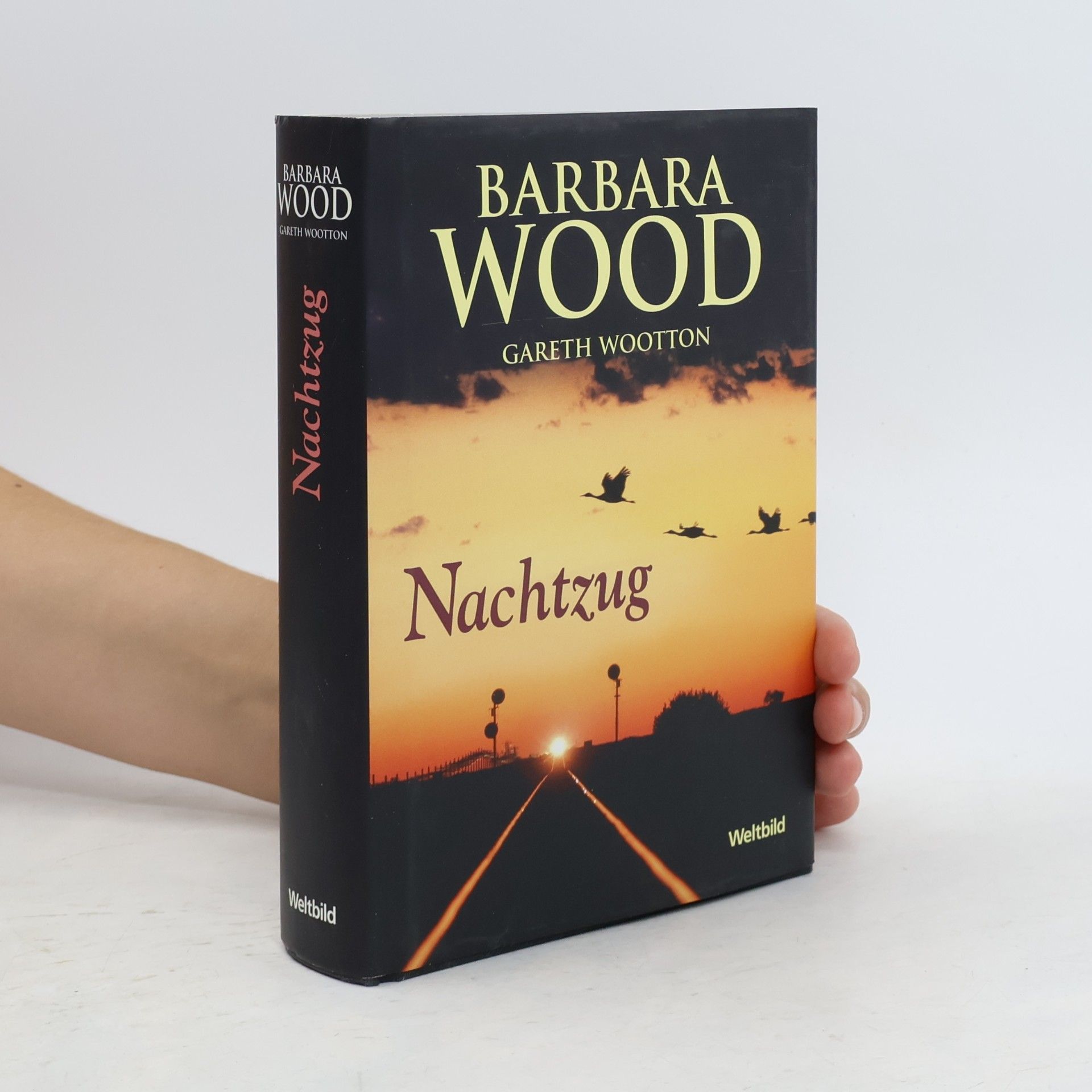 Barbara Wood Nachtzug