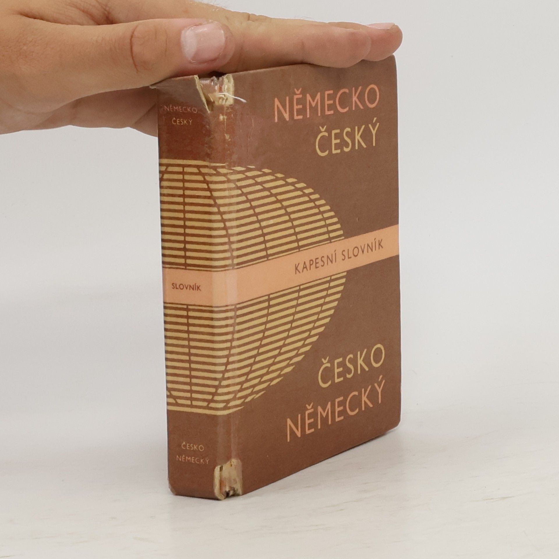 Autorenkollektiv Německo-český a česko-německý kapesní slovník