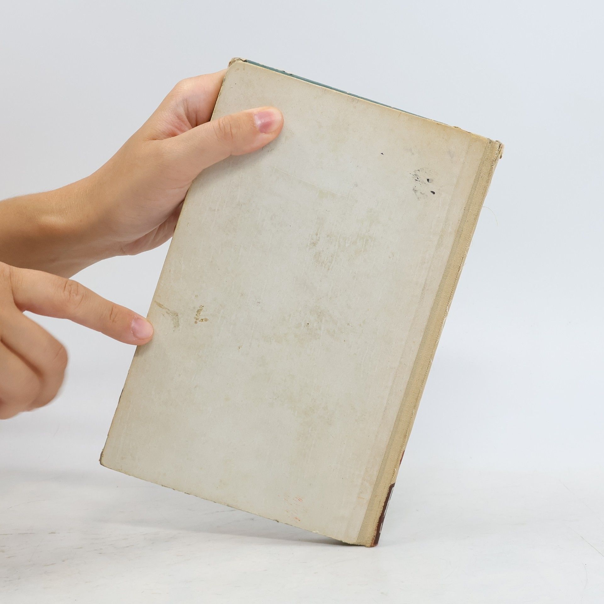 Elisabeth Hering Schrieb Noah schon?