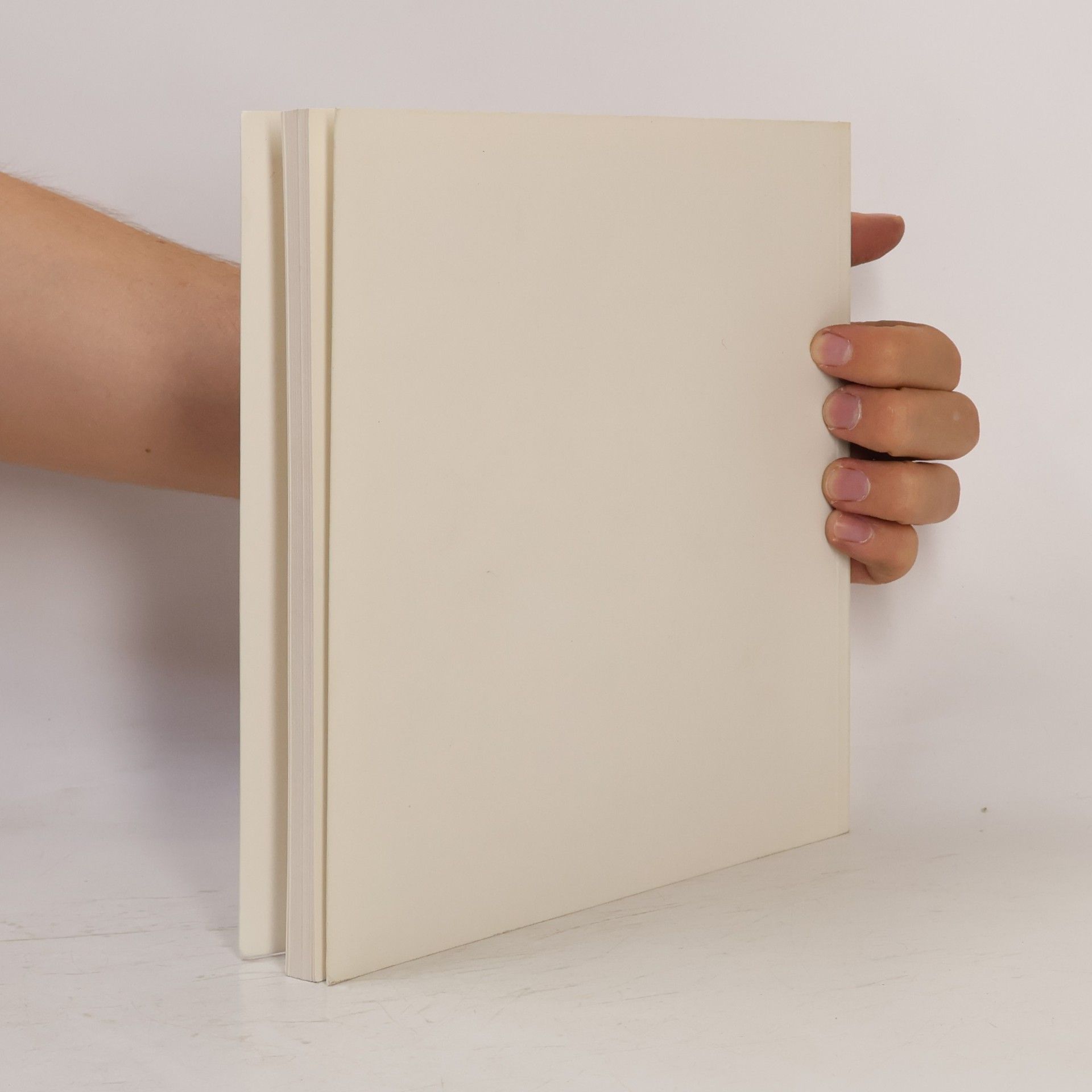 Jörn Bahns Die Solitaires der Manufactur Frankenthal