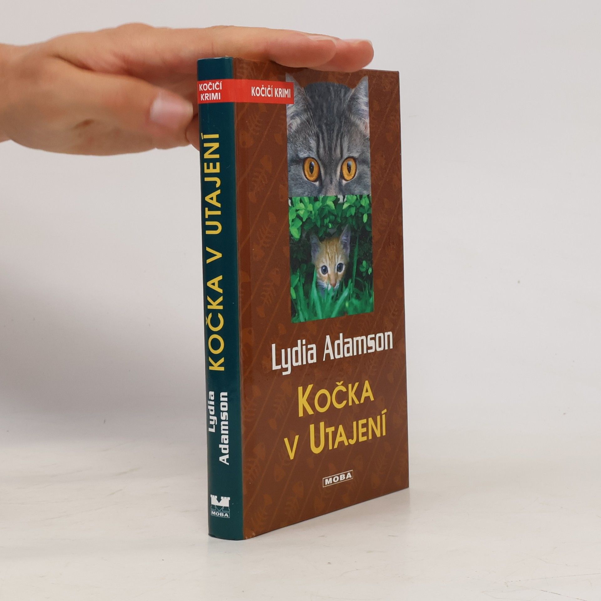 Lydia Adamson Kočka v utajení