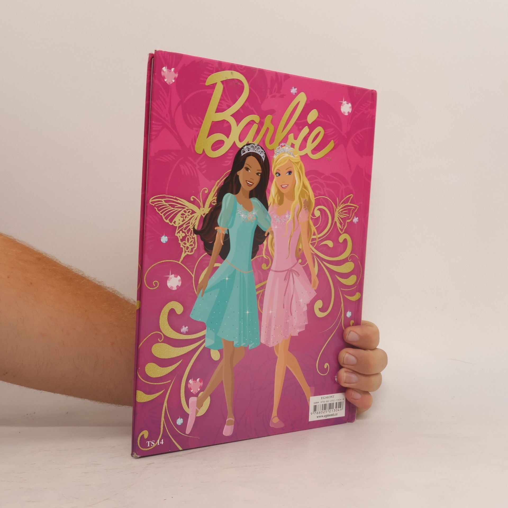 Kolektiv autorů Barbie - Knížka na rok 2010