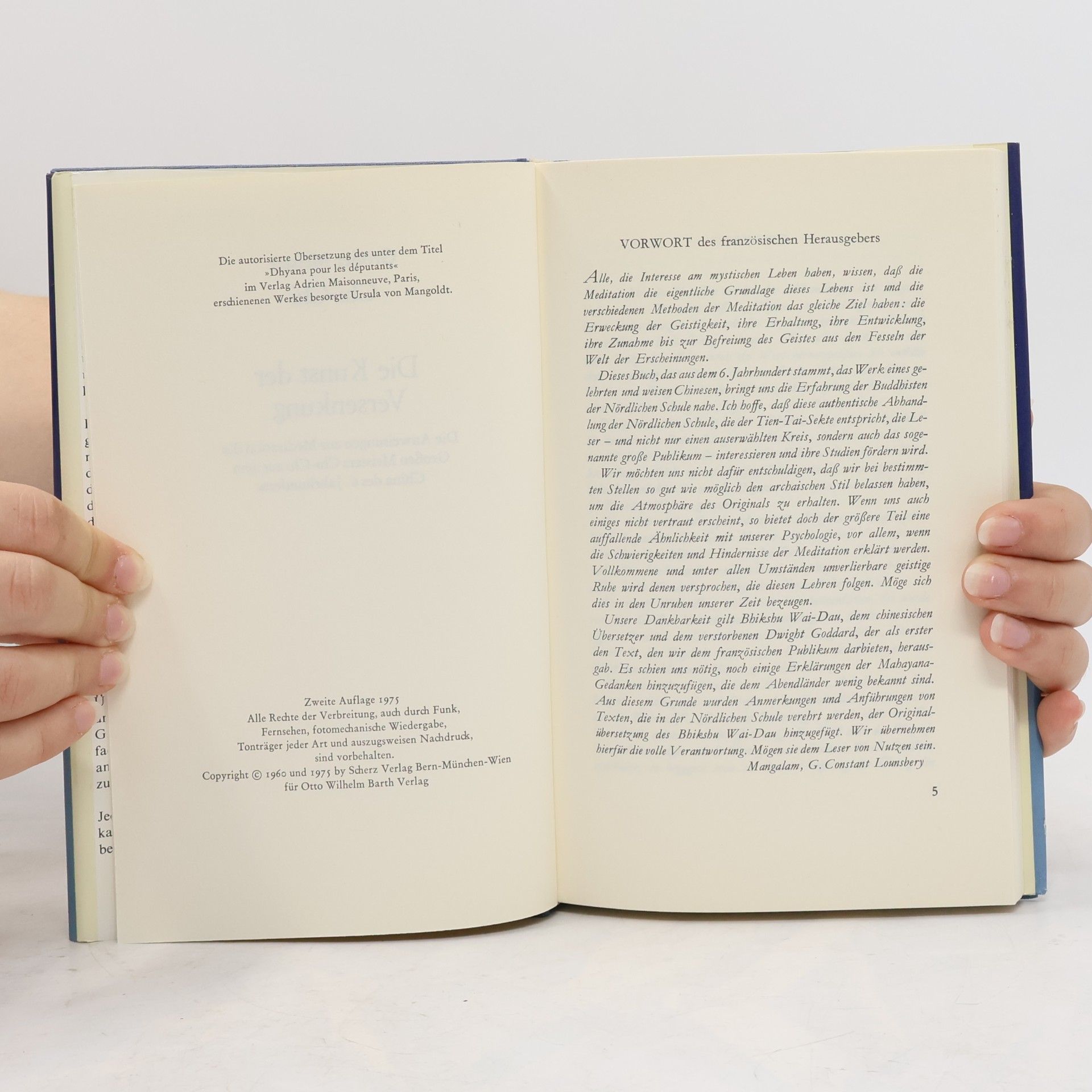 Auteurscollectief Die Kunst der Versenkung