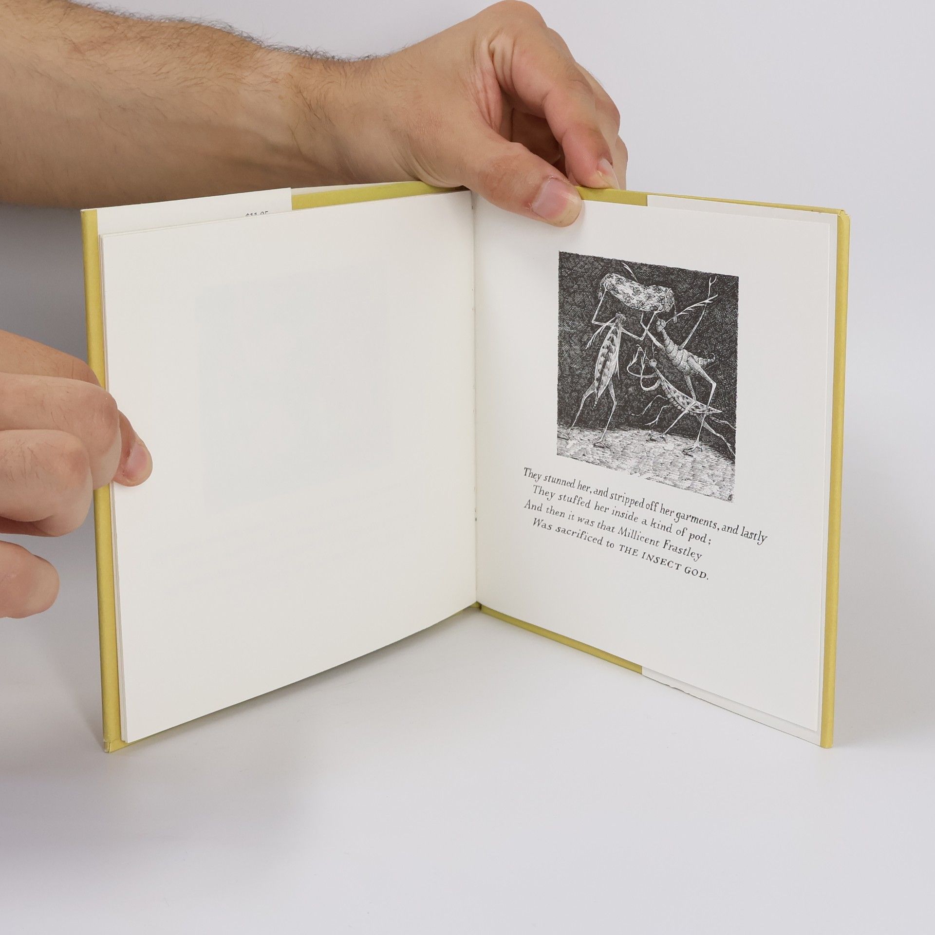 Edward Gorey The Insect God