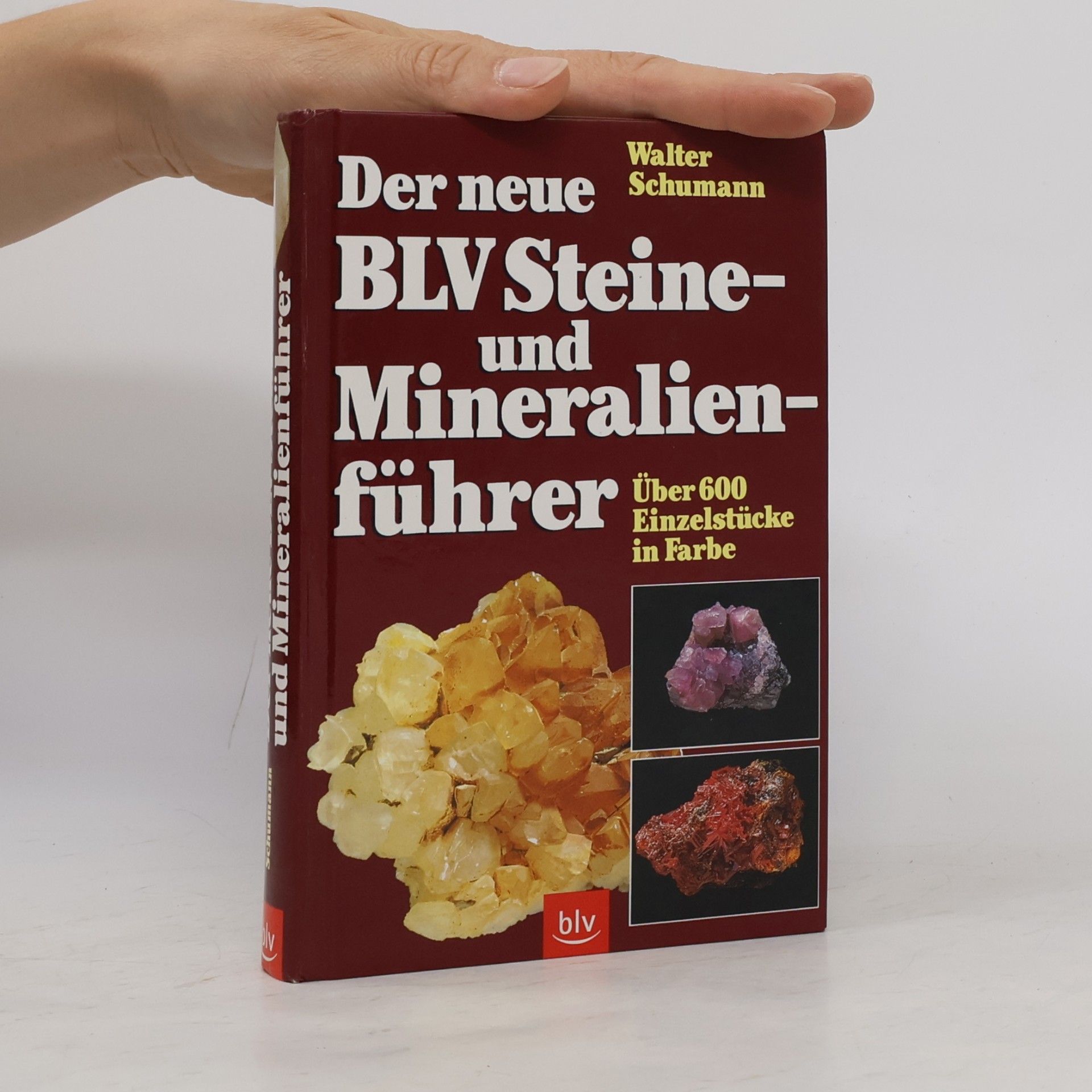 Walter Schumann Der neue BLV-Steine- und Mineralienführer