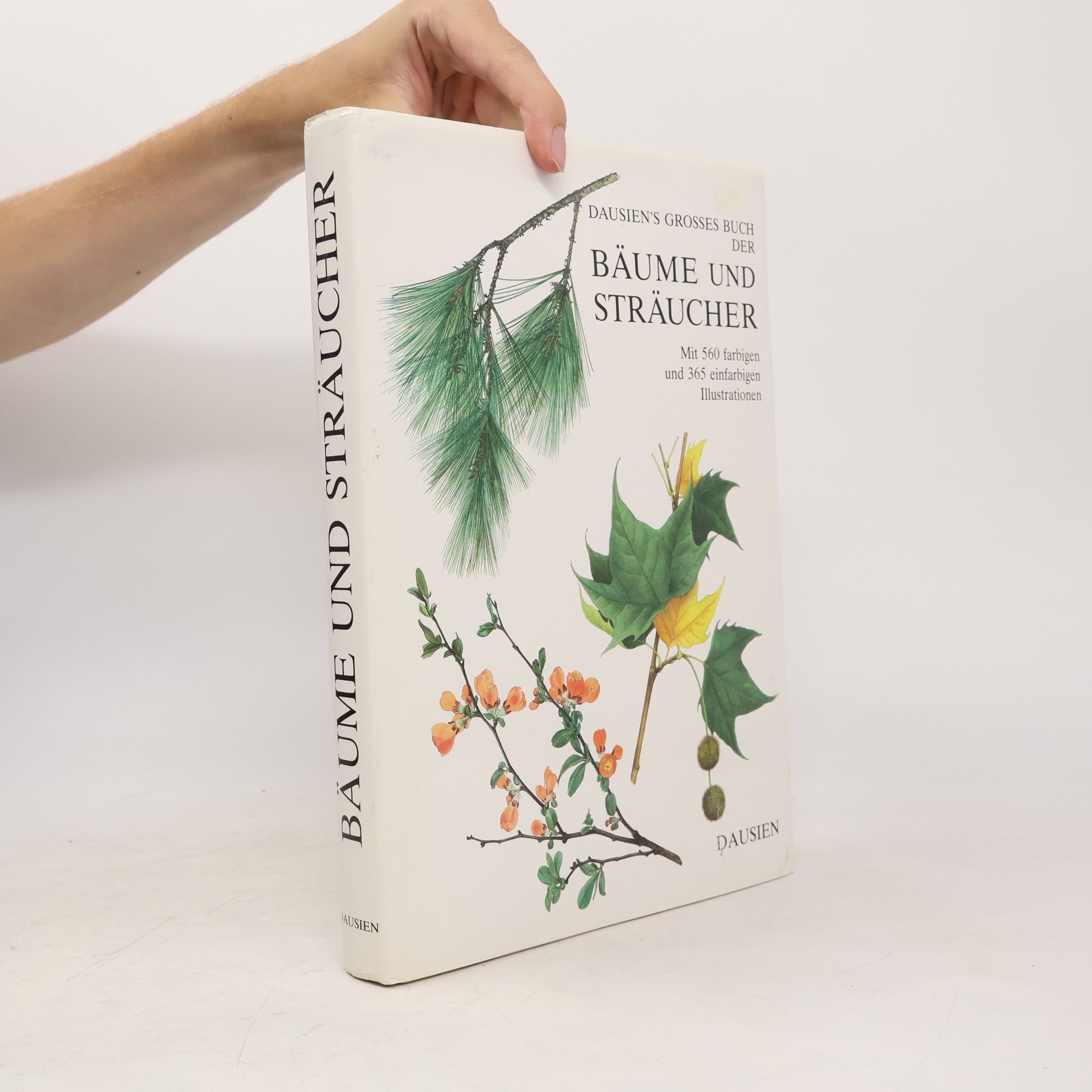 Václav Větvička Dausien's grosses Buch der Bäume und Sträucher