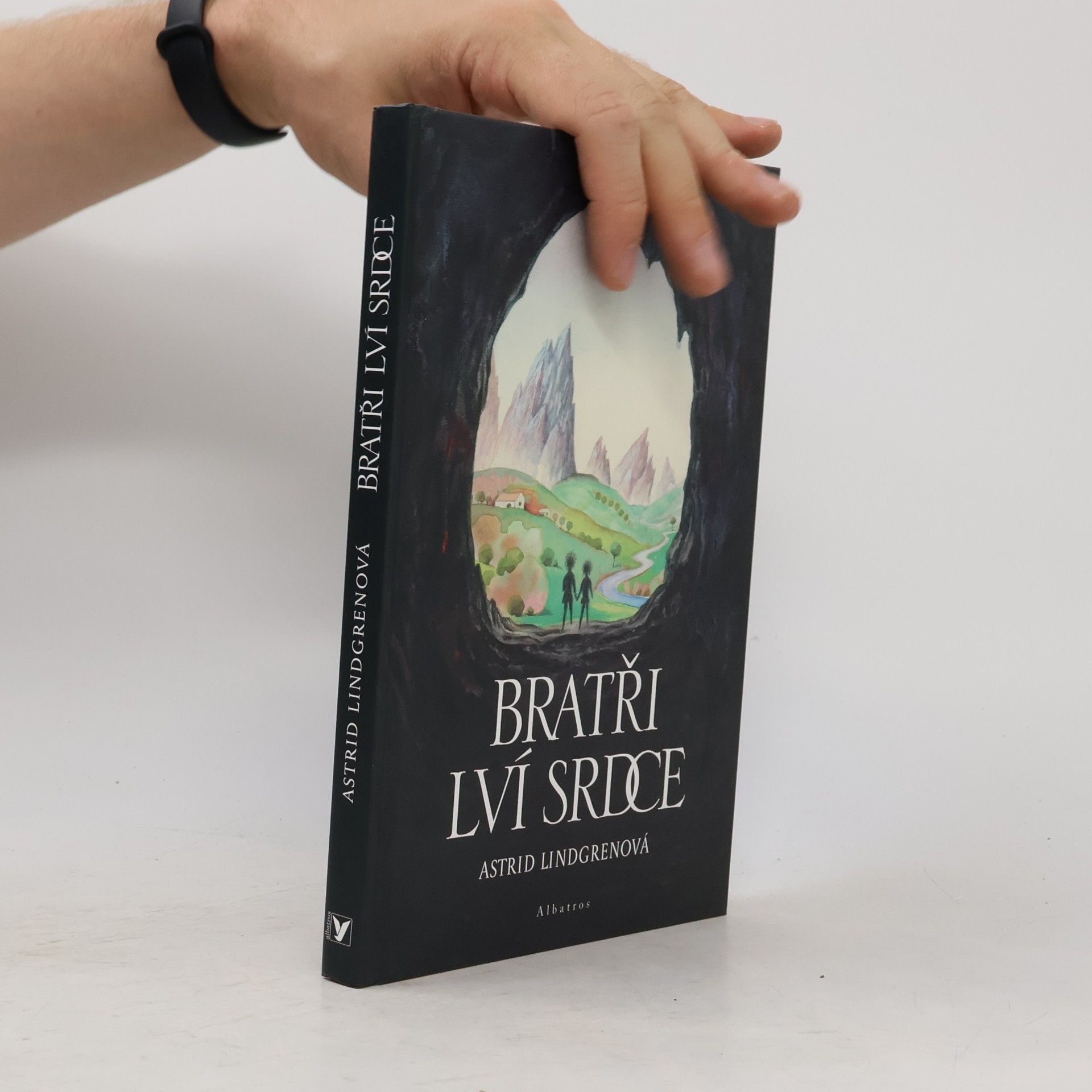 Astrid Lindgren Bratři Lví srdce