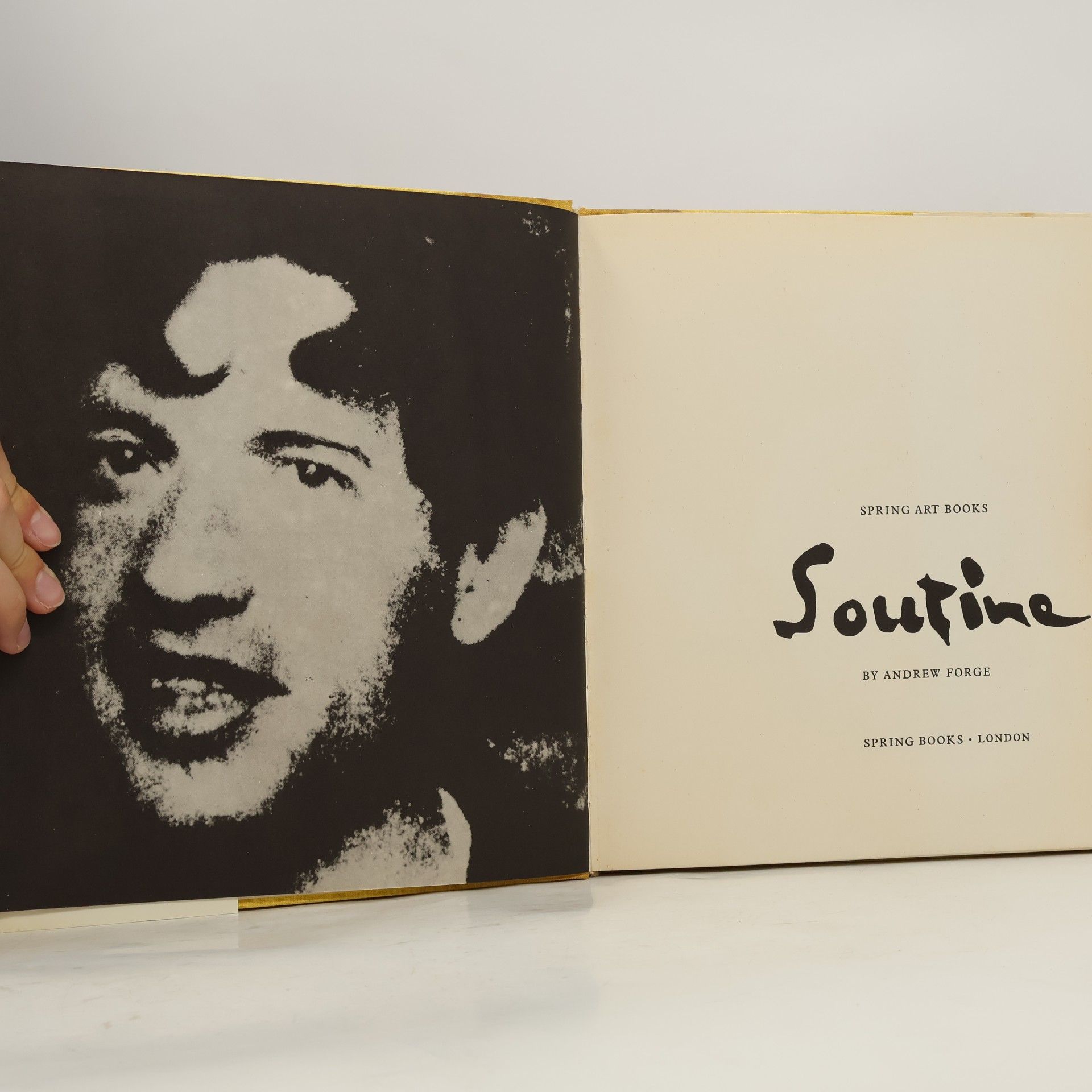 Andrew Forge Soutine
