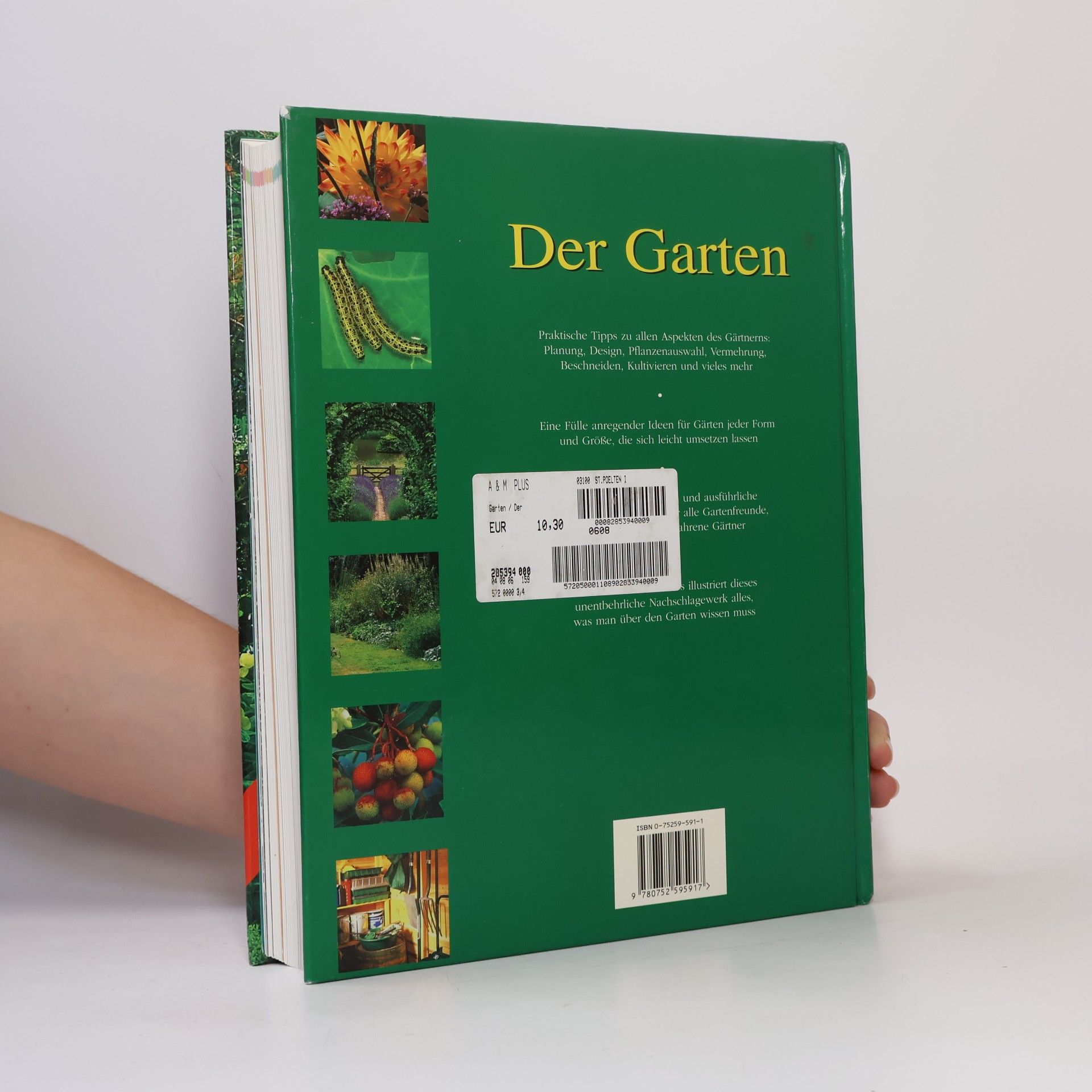 Deena Beverley Der Garten