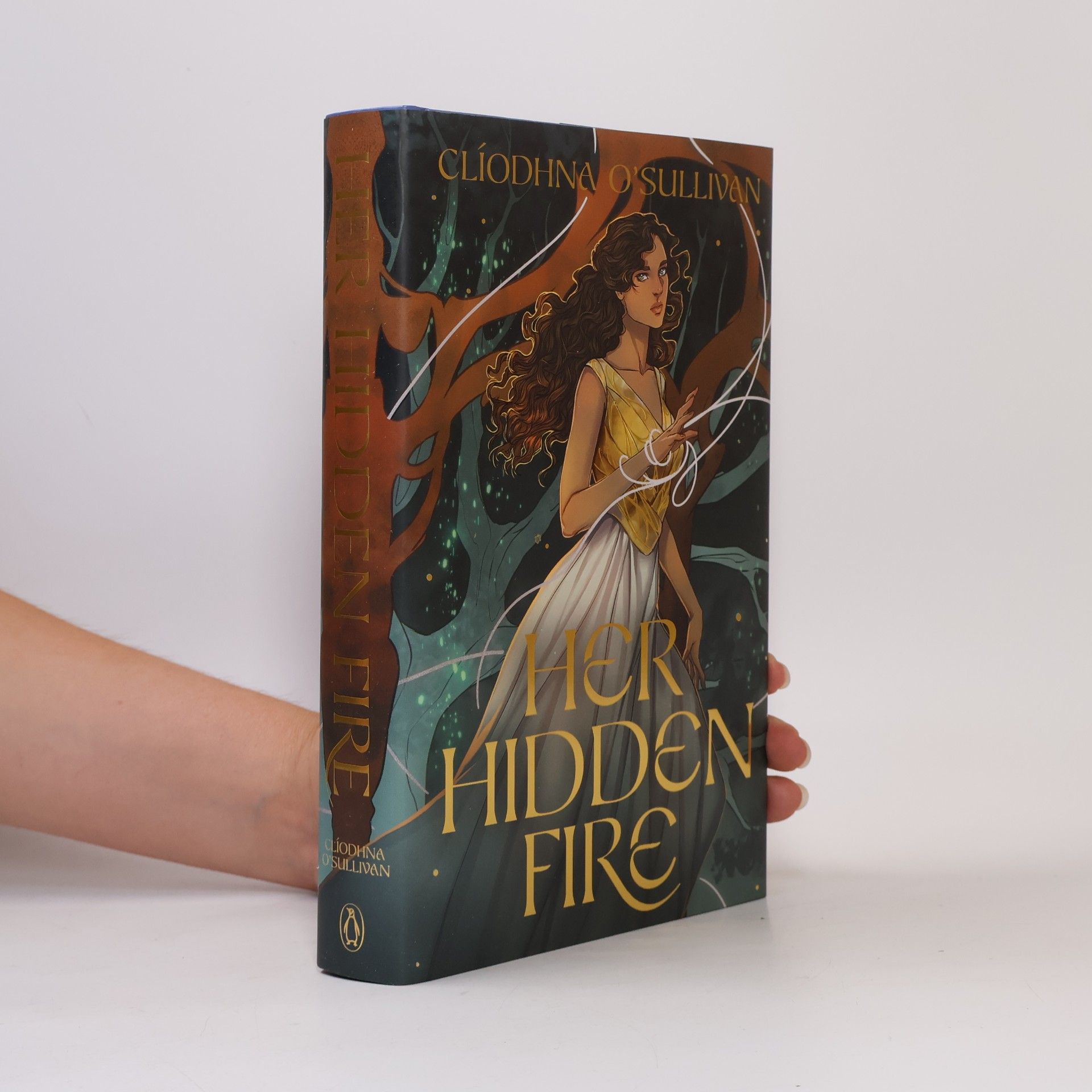 Clíodhna O'Sullivan Her Hidden Fire