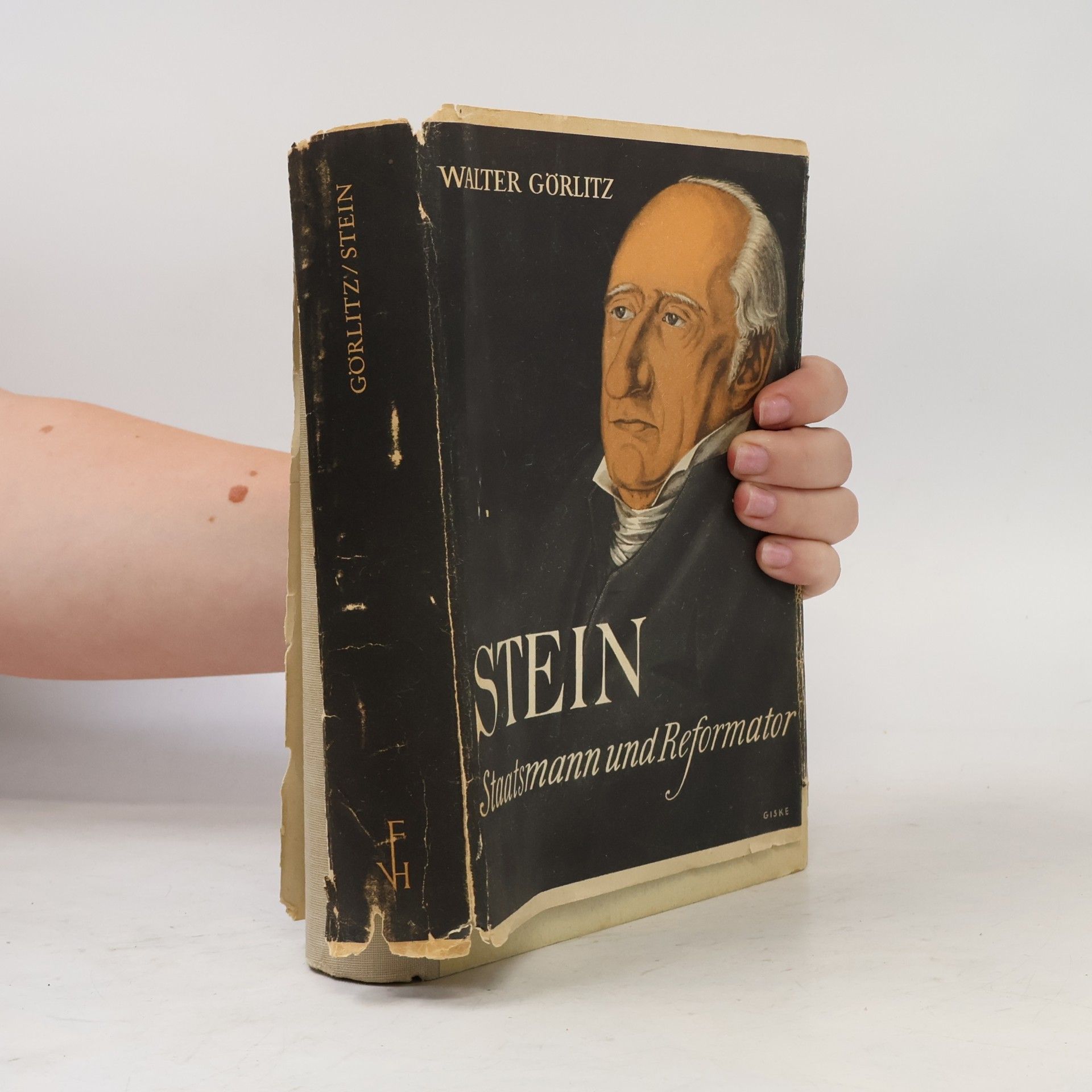 Stein