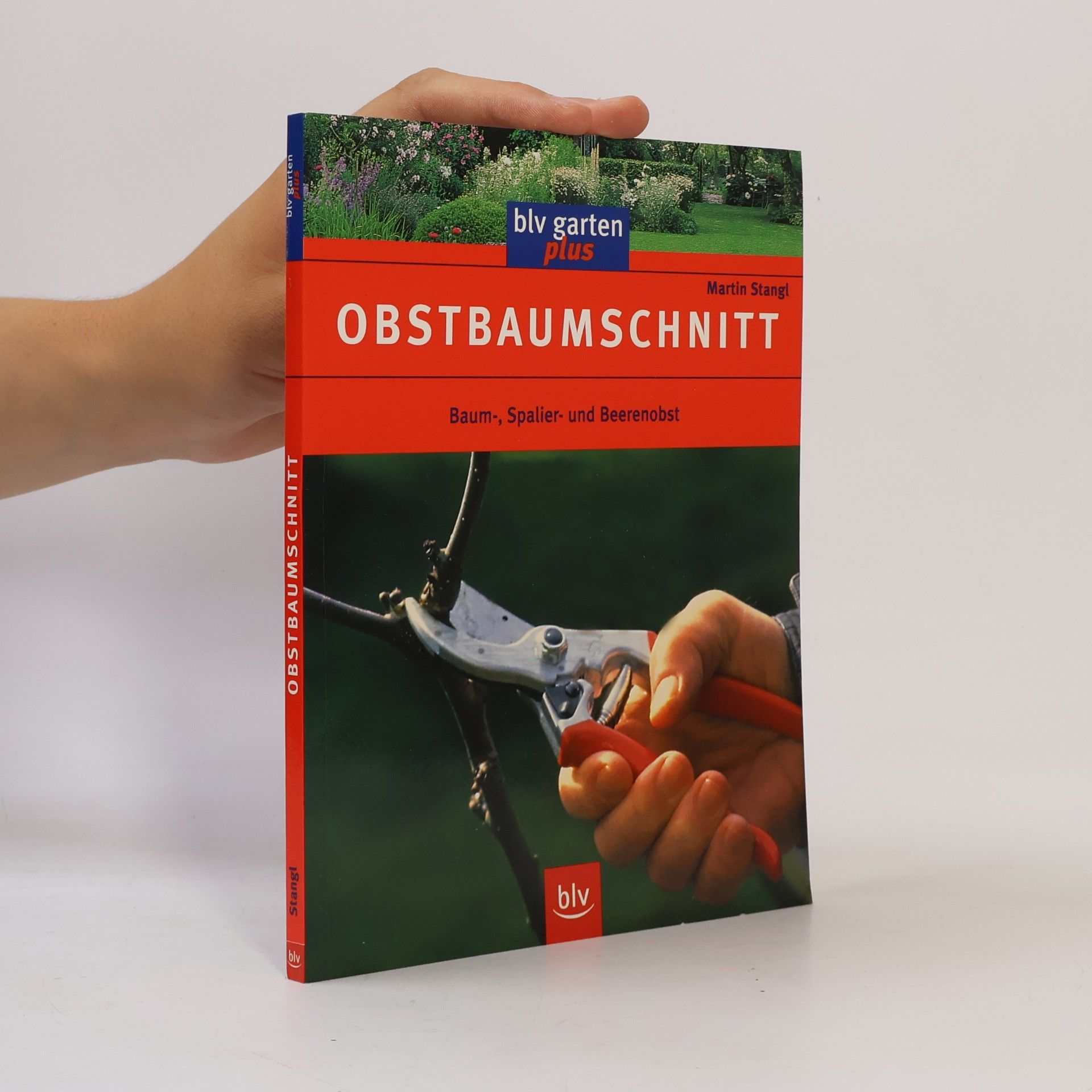 Martin Stangl Obstbaumschnitt
