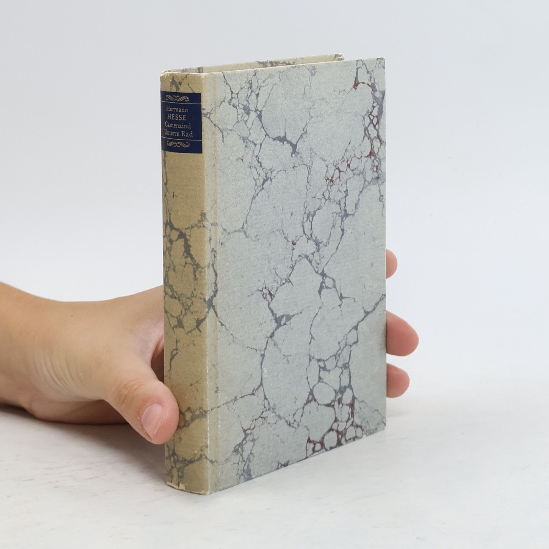 Hermann Hesse Camenzind Unterm Rad