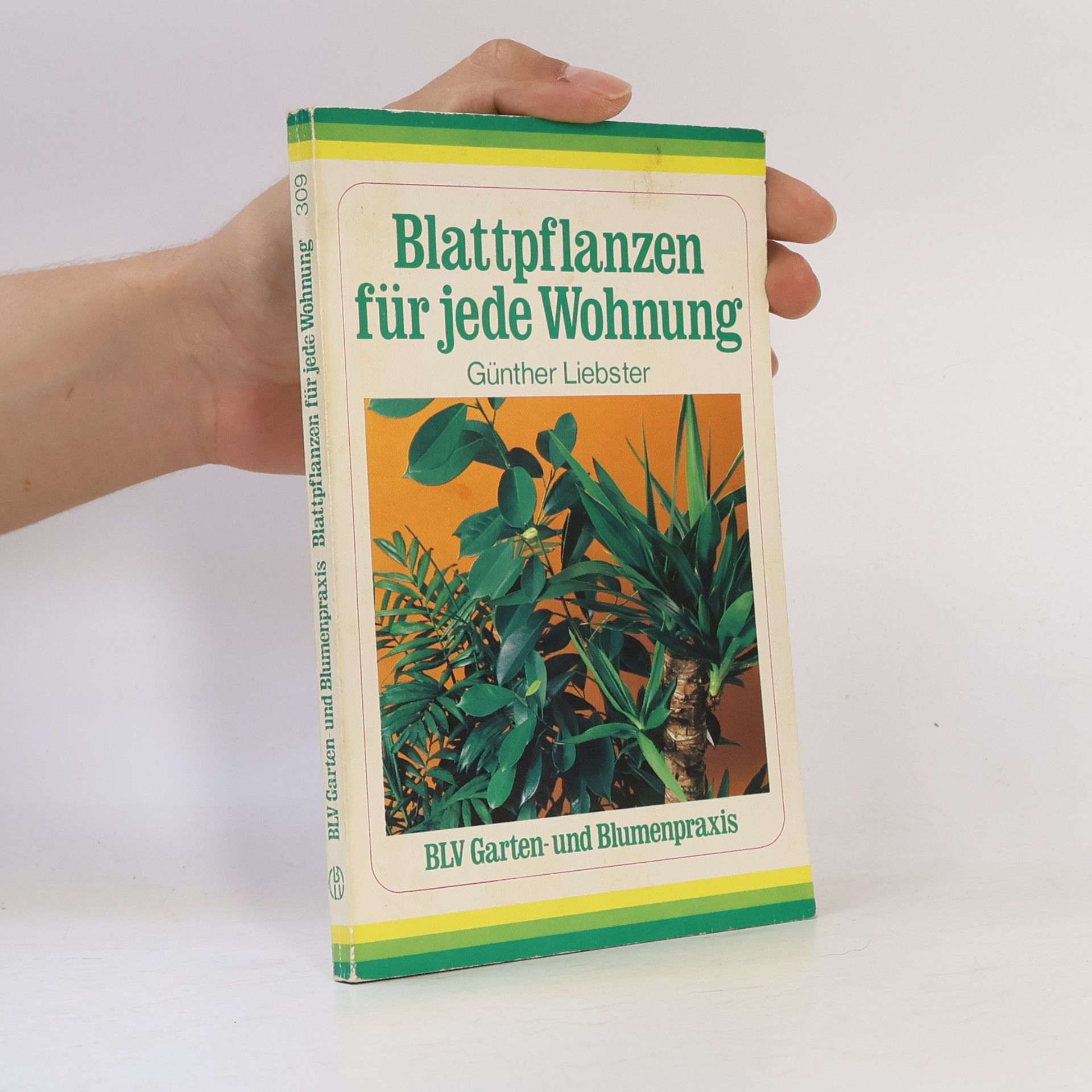 Günther Liebster Blattpflanzen für jede Wohnung