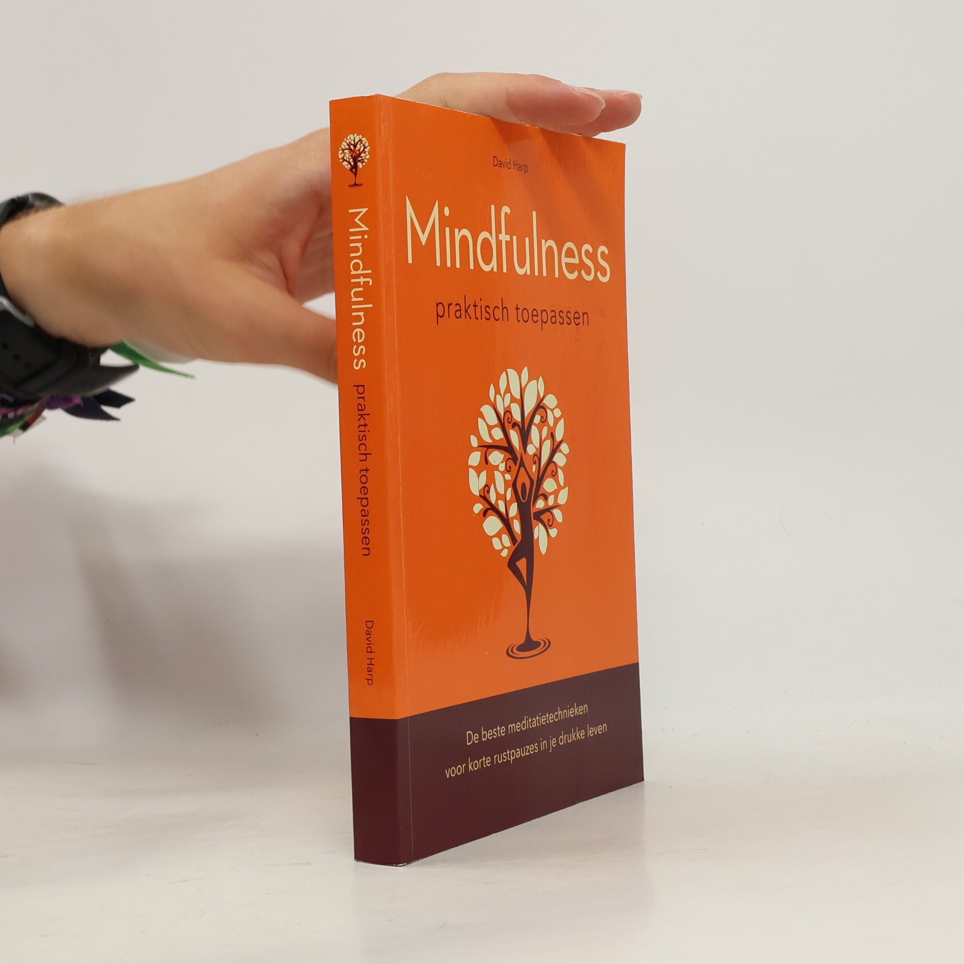 David Harp Mindfulness praktisch toepassen