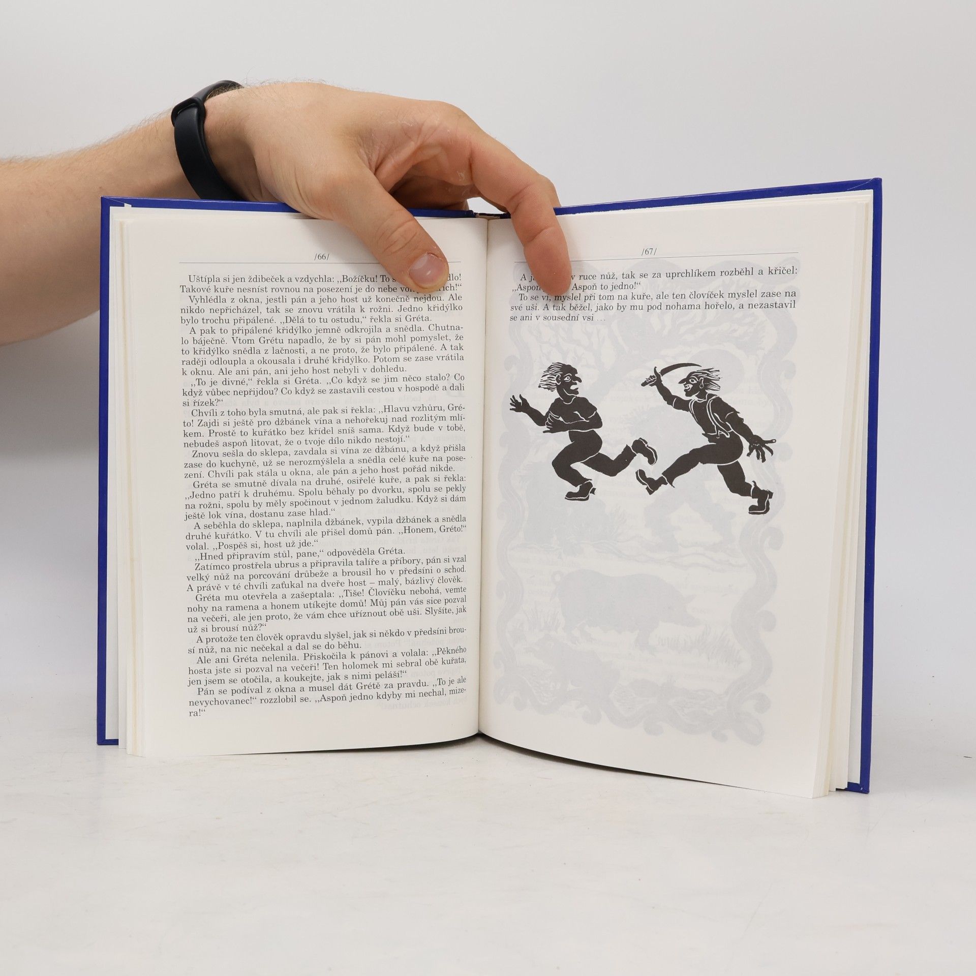 Angela Carter Kytice dívčích pohádek
