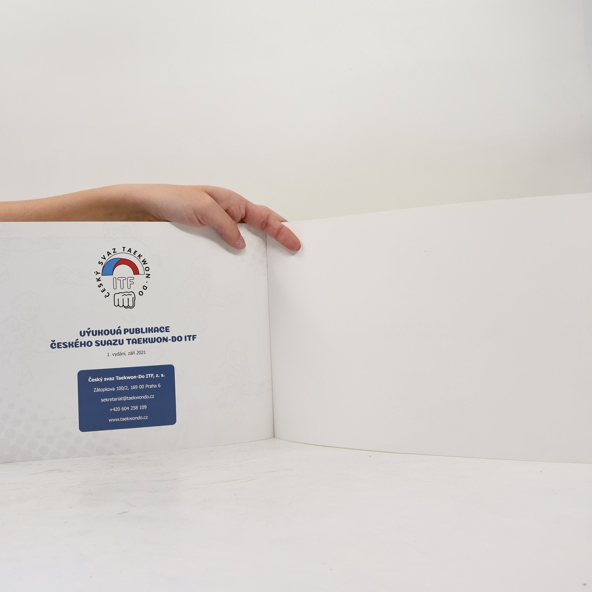 Kolektiv autorů Učím se taekwondo