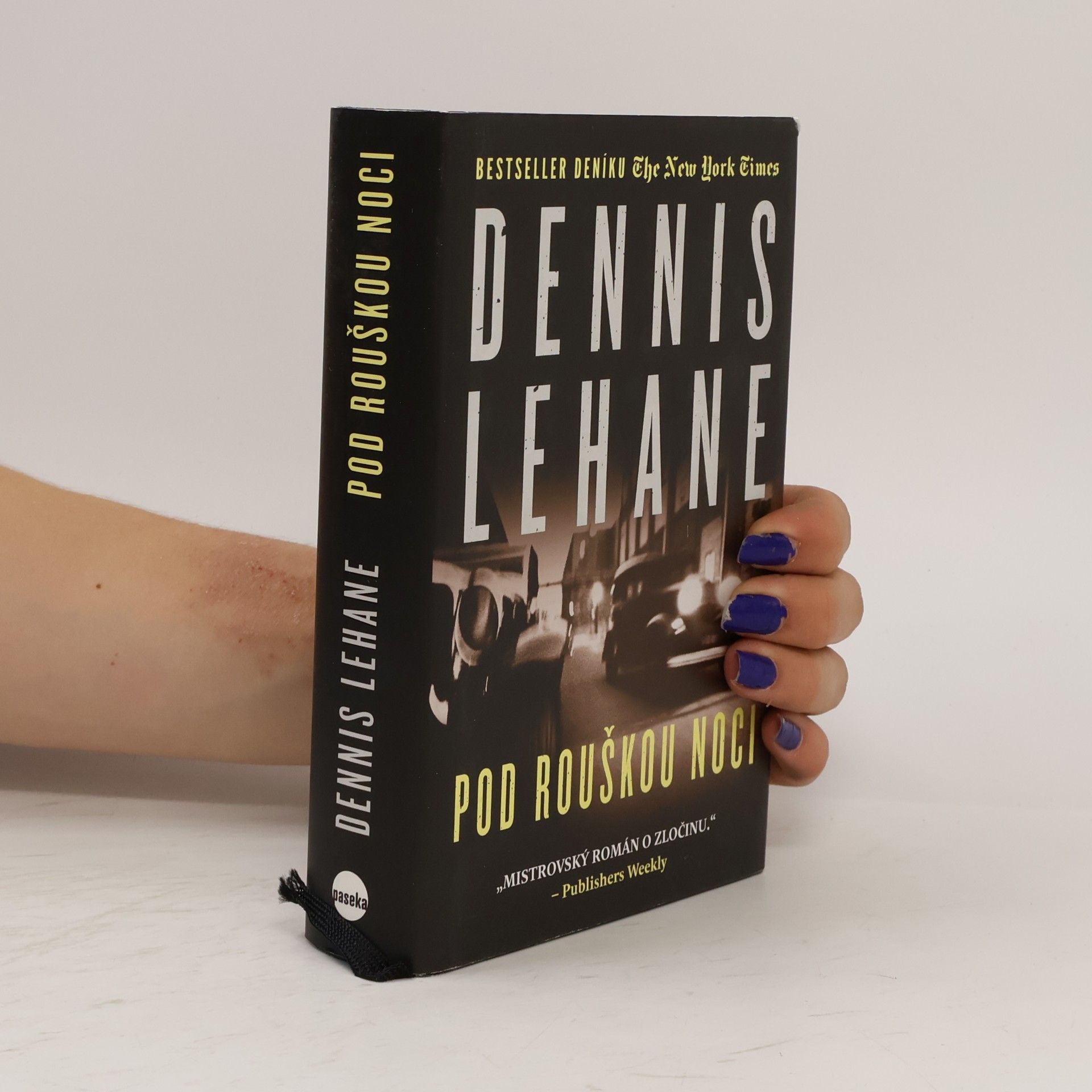 Dennis Lehane Pod rouškou noci