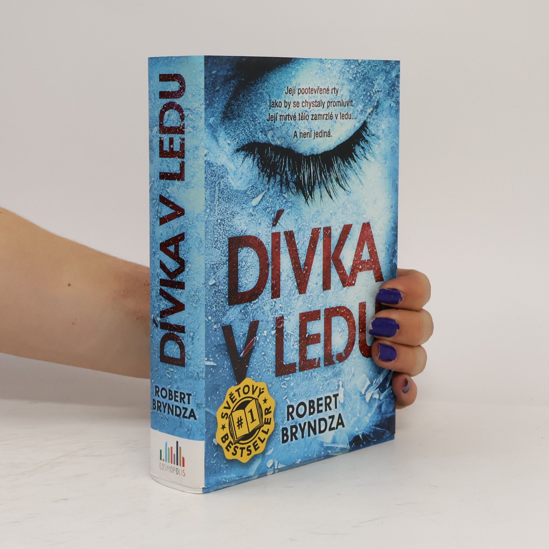 Robert Bryndza Dívka v ledu