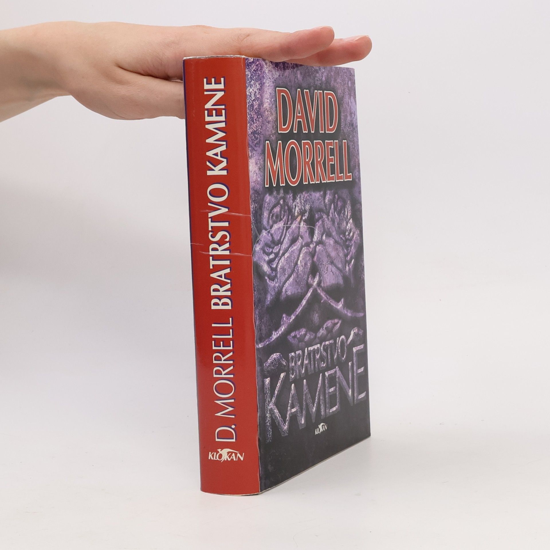David Morrell Bratrstvo kamene