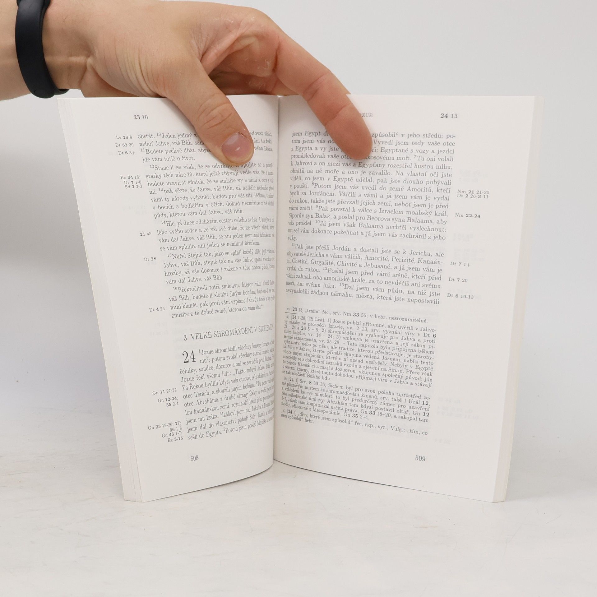 Kolektiv autorů Jeruzalémská bible. Jozue. Soudců. Rut