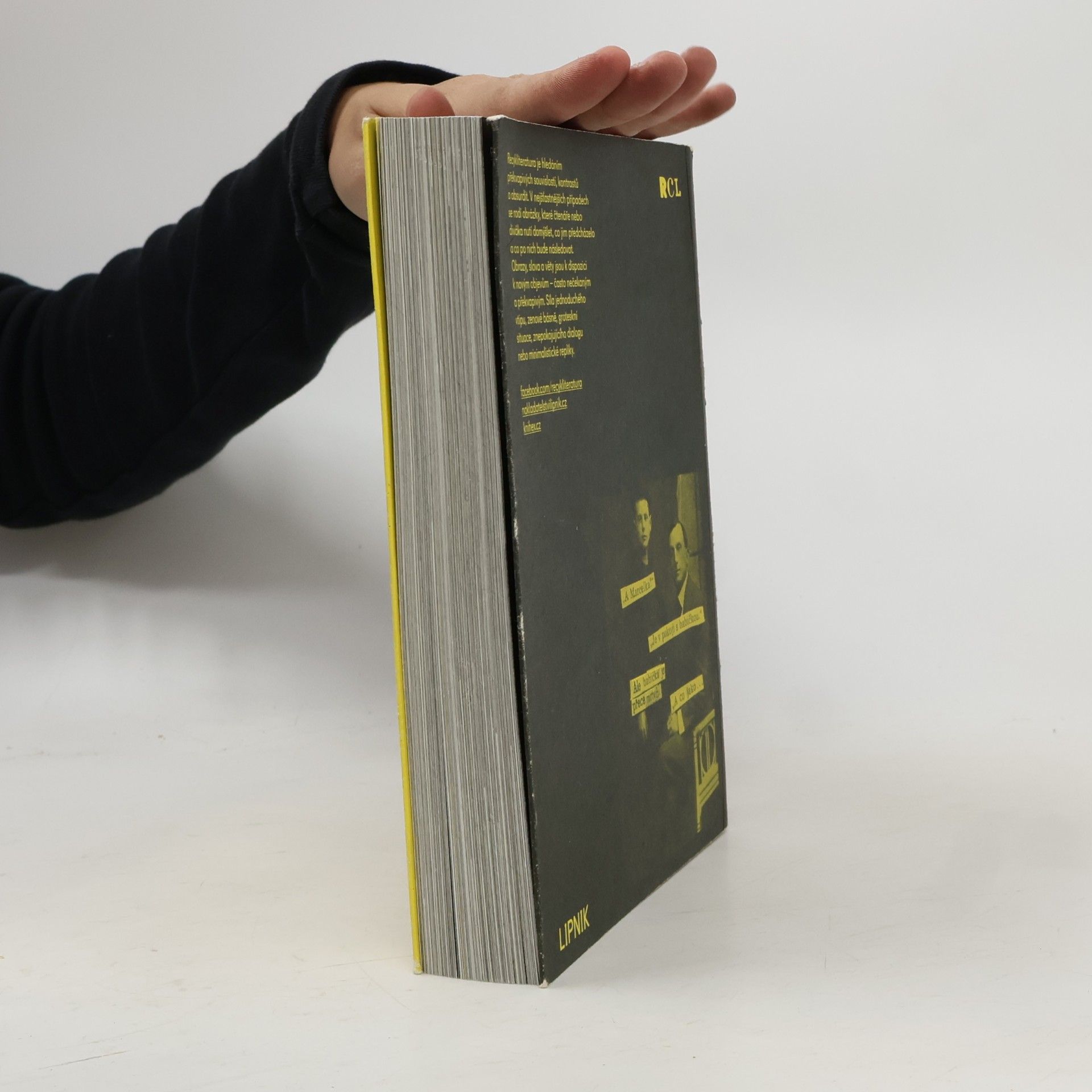 Vojtěch Mašek Recykliteratura - RCL