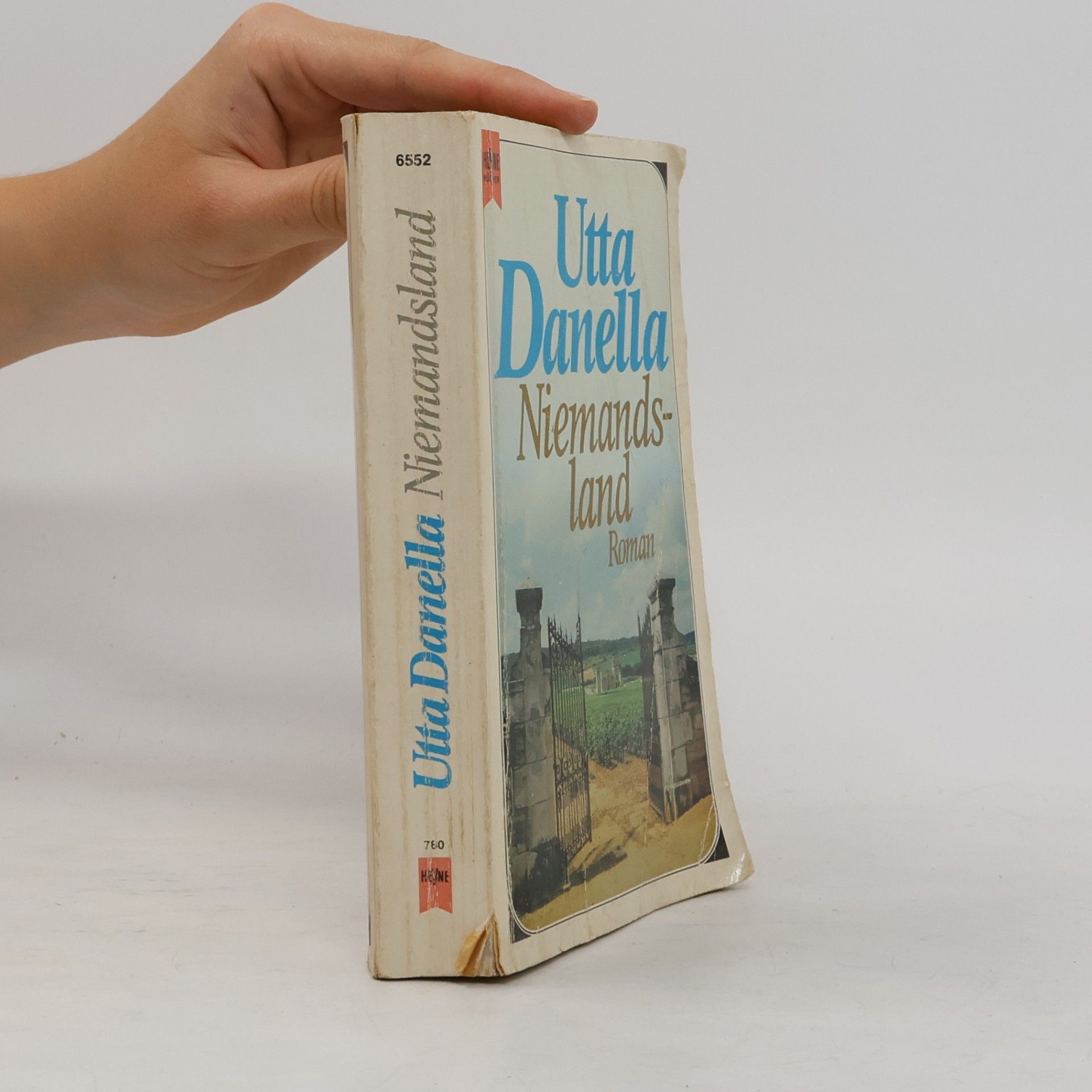 Utta Danella Niemandsland