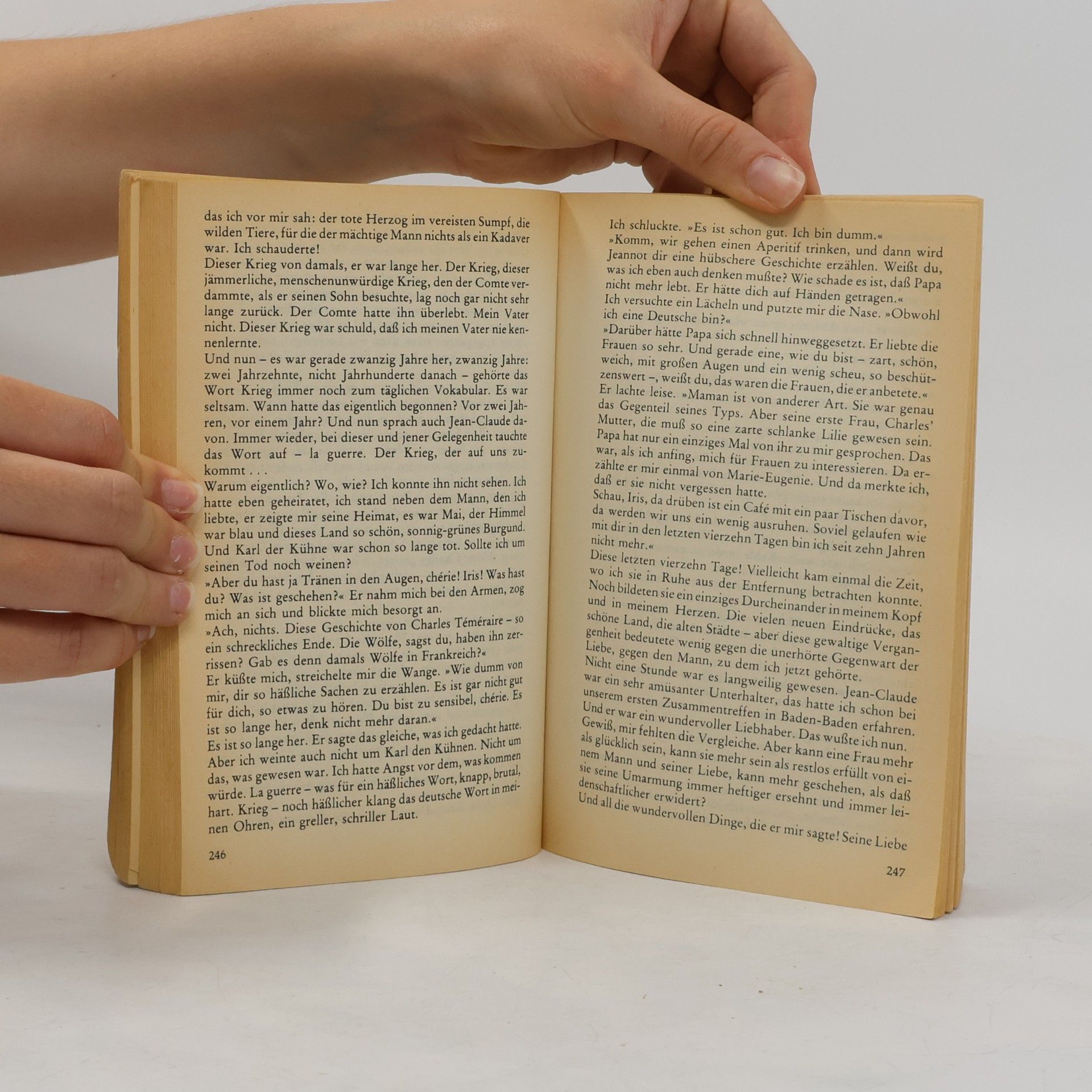 Utta Danella Niemandsland