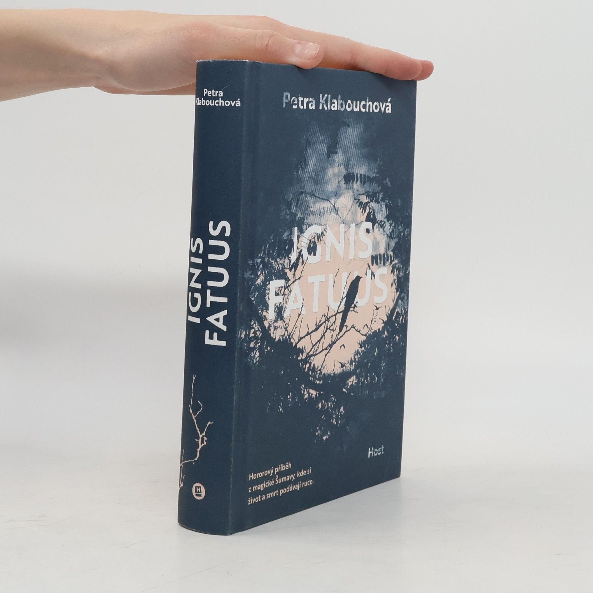 Petra Klabouchová Ignis Fatuus